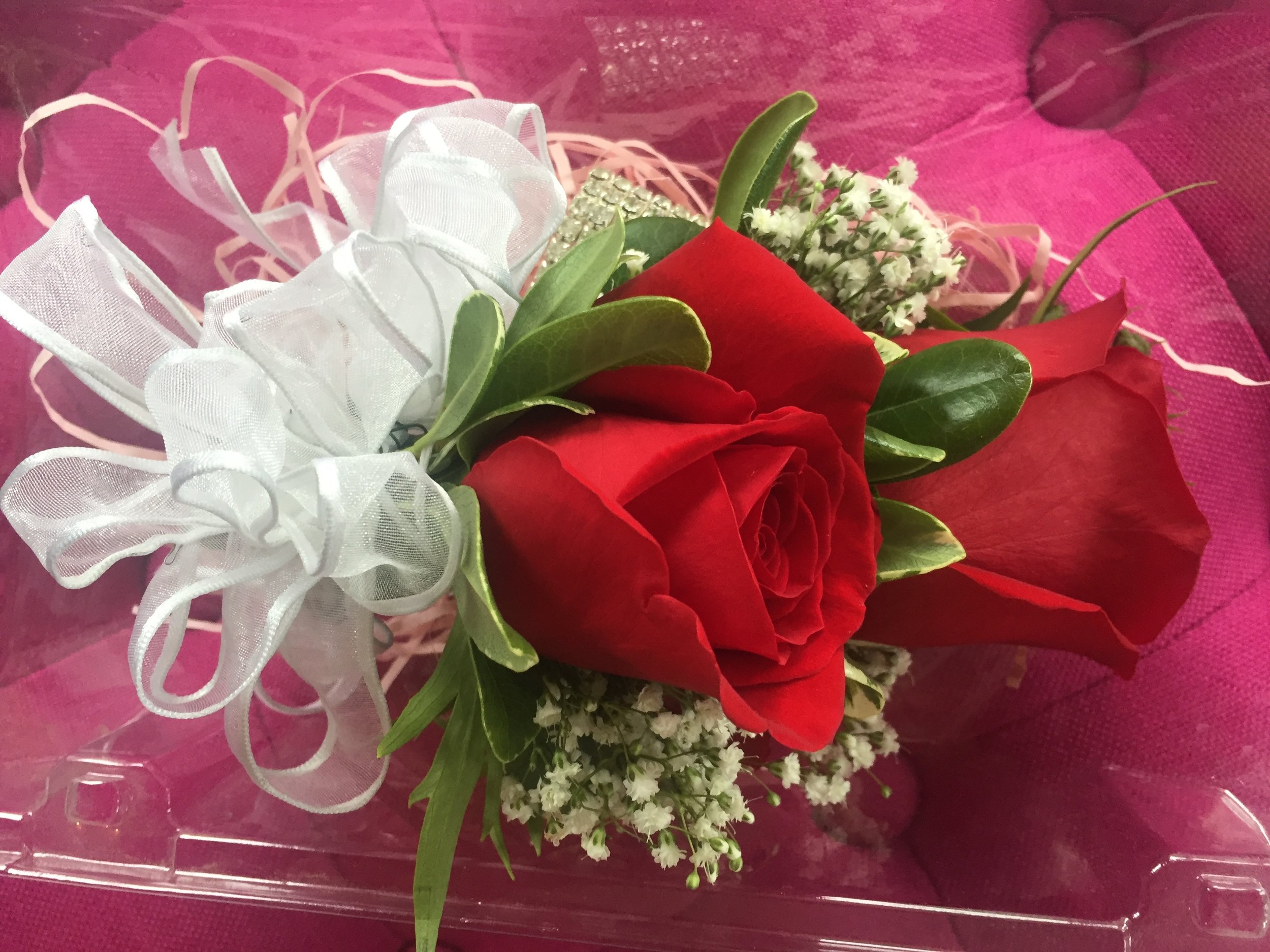 Photo Jun 03, 12 02 50 PM.jpg