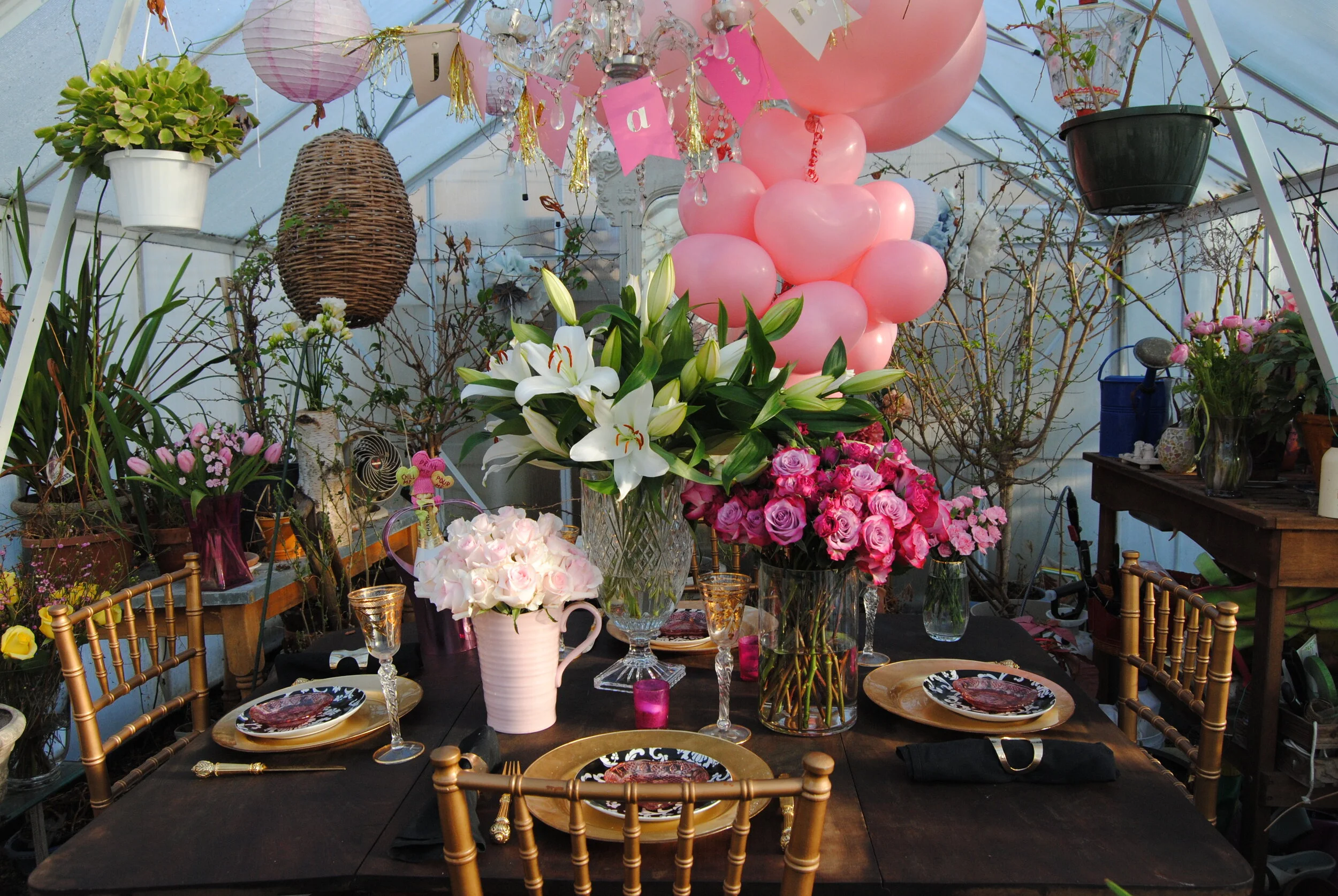 Photo Feb 14, 4 00 22 PM.jpg