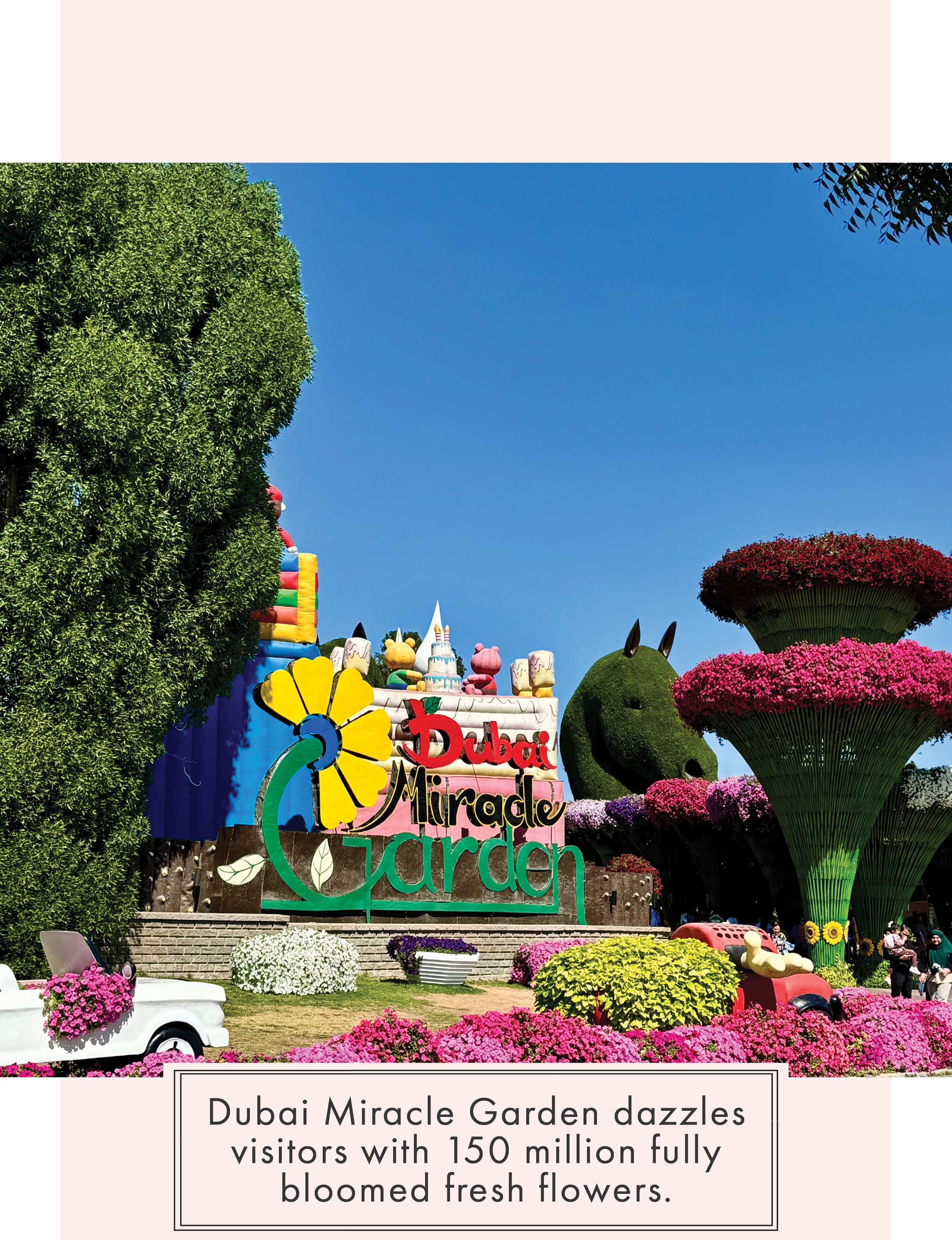 Dubai Miracle Garden sign