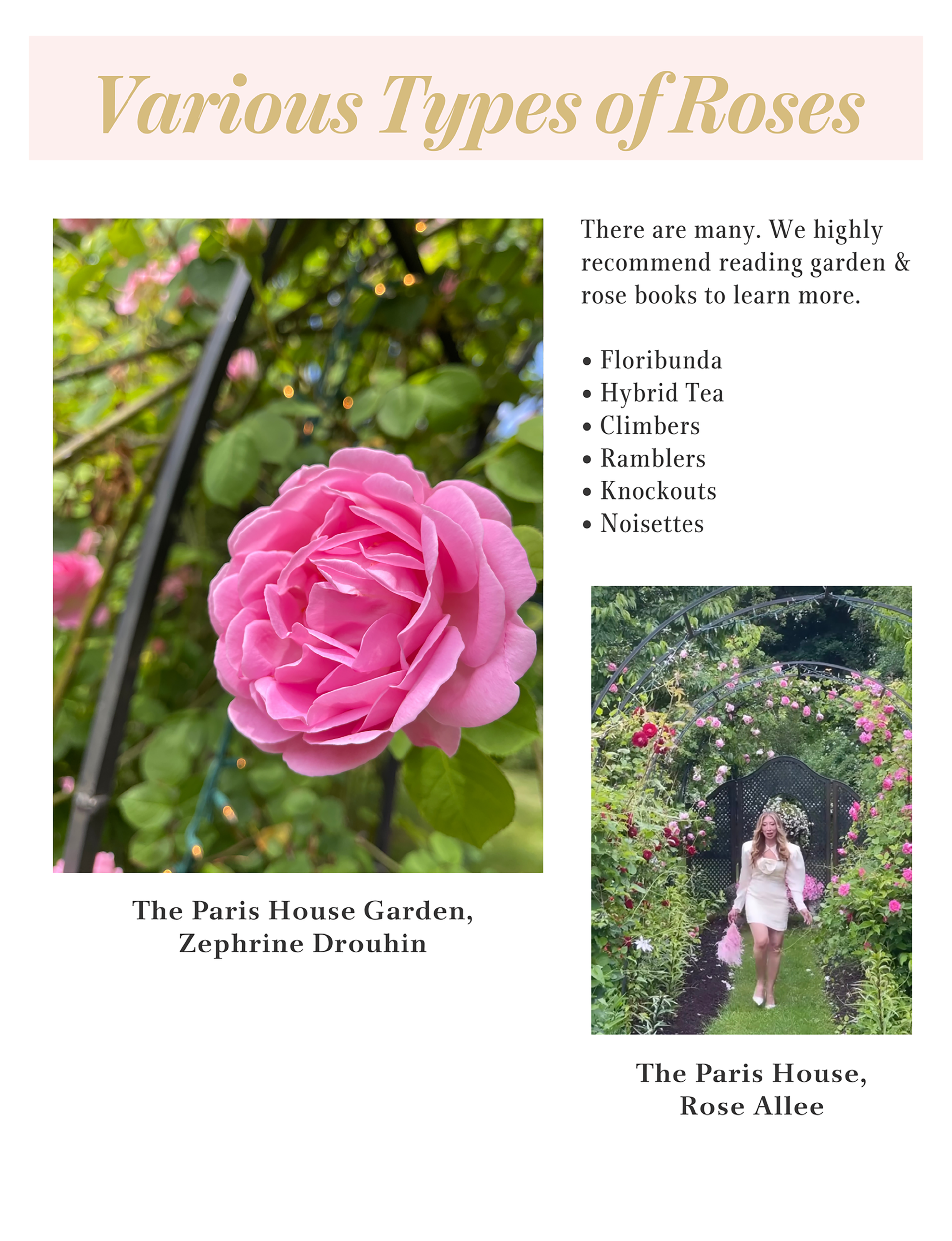 Rose Gardens, Botanical Gardens &amp; Floral Design Inspiration — Sunday Guides Spring 2026 by The Paris House