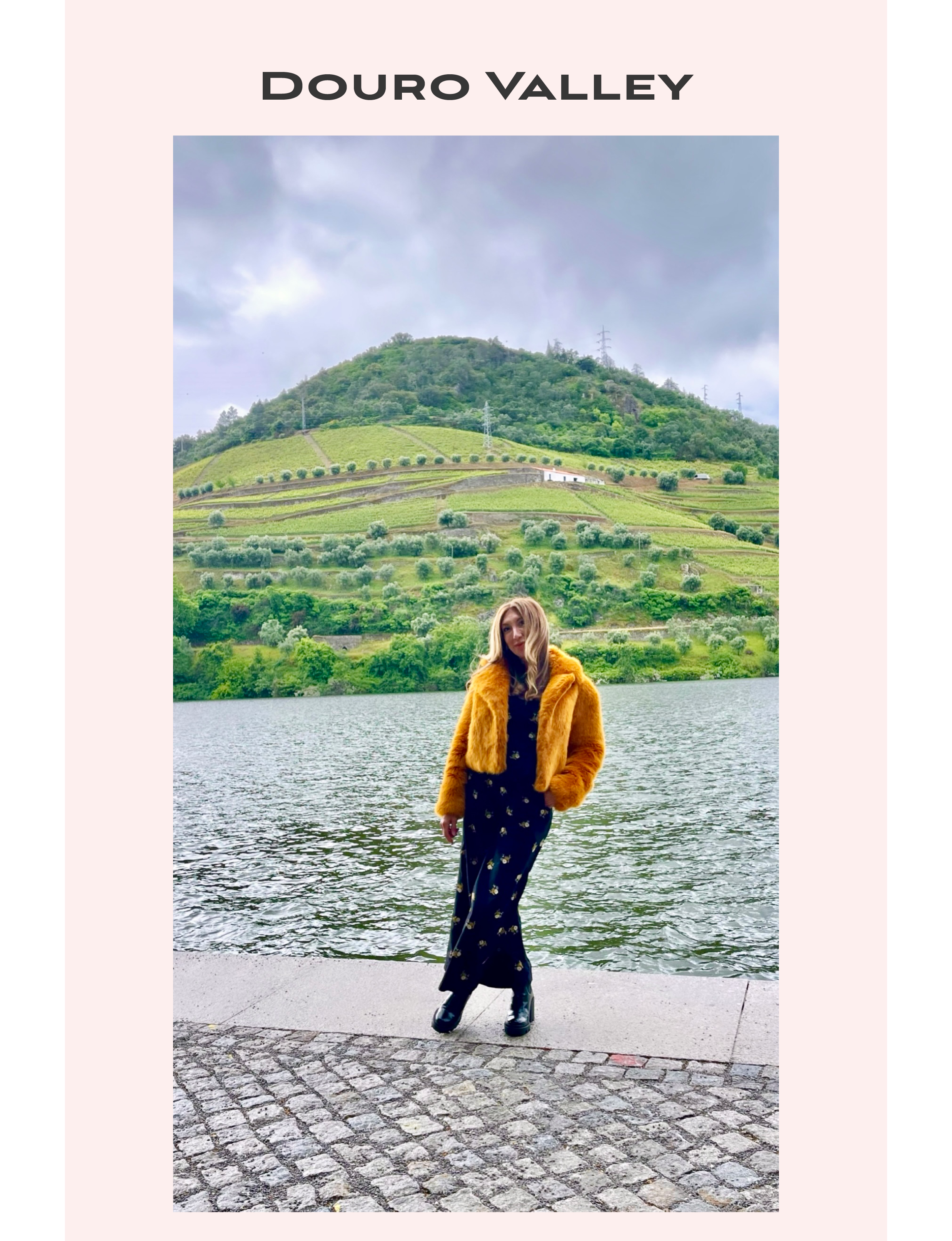 the Douro Valley in Portugal, steep, terraced vineyards and historic wine production
