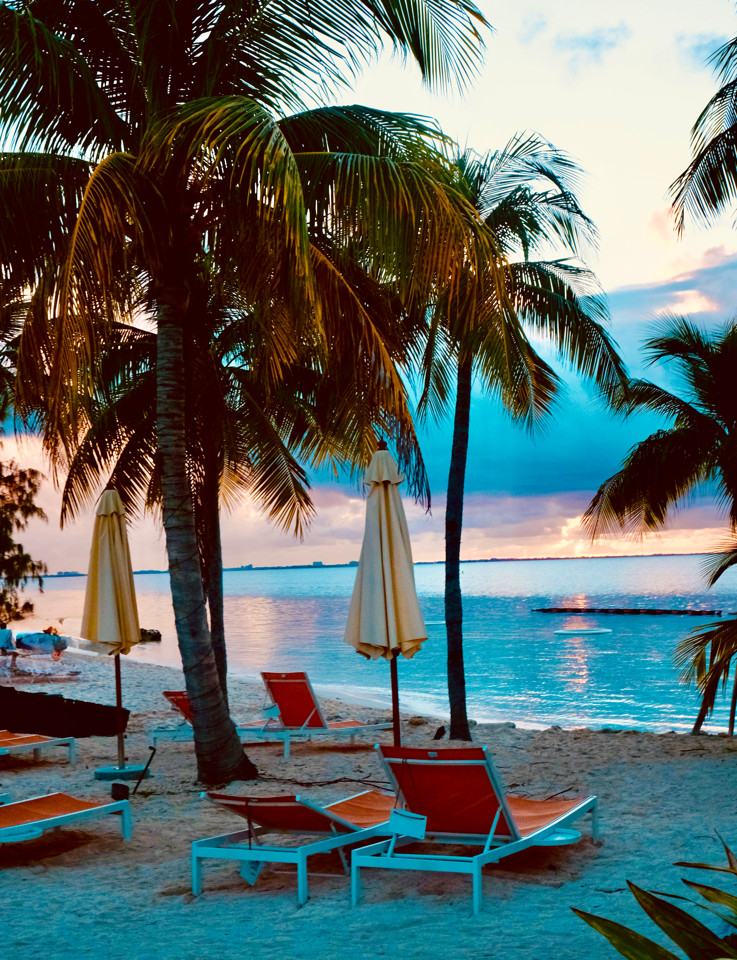 Rum Point Grand Cayman: Catamaran Sunset Cruise, Quiet Beach, and Caribbean Dining — Sunday Guides Summer 2026 by The Paris House