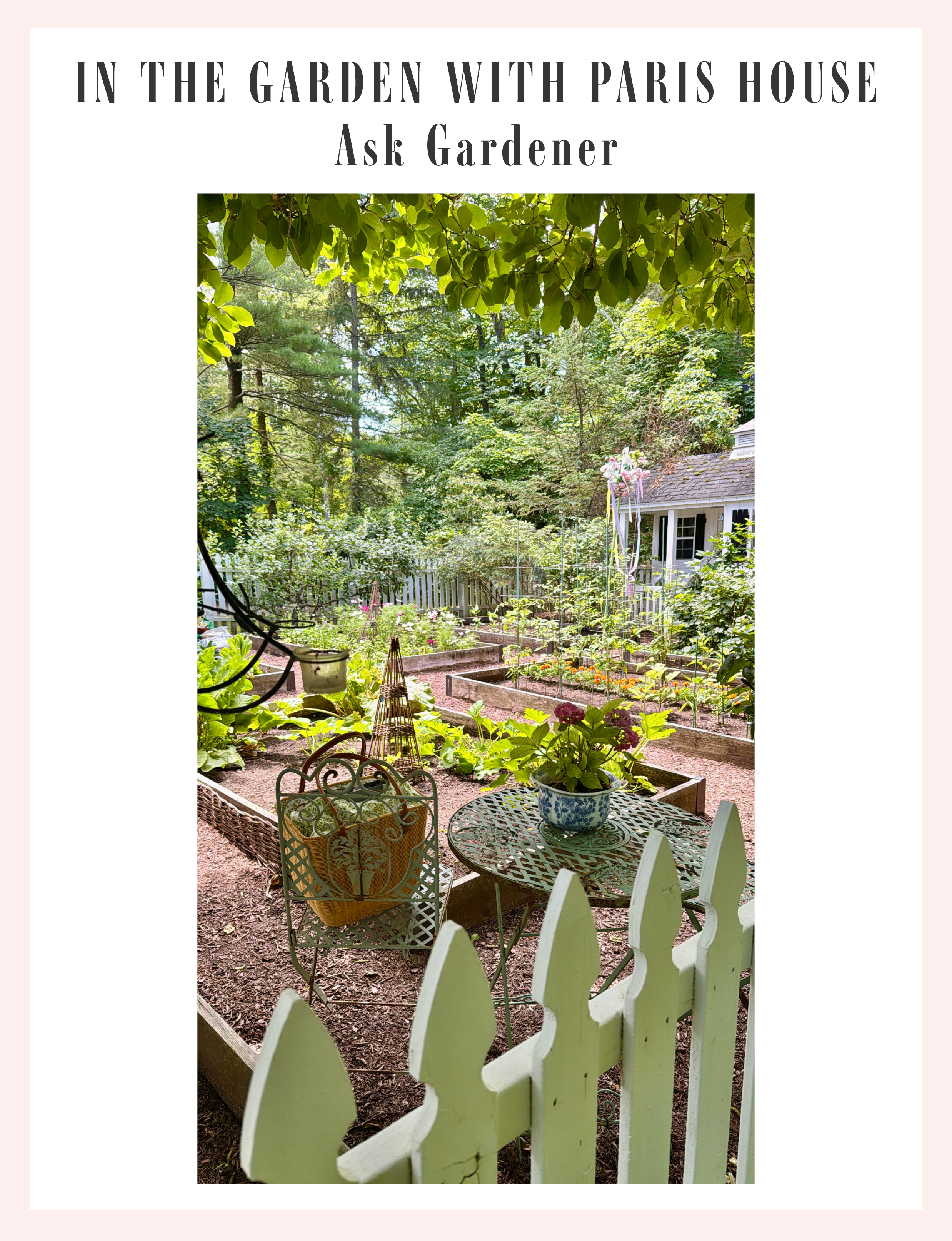 Summer Gardening Tips: Growing Strawberries, Sugar Snap Peas, and Fresh Garden Recipes — Sunday Guides Summer 2026 by The Paris House