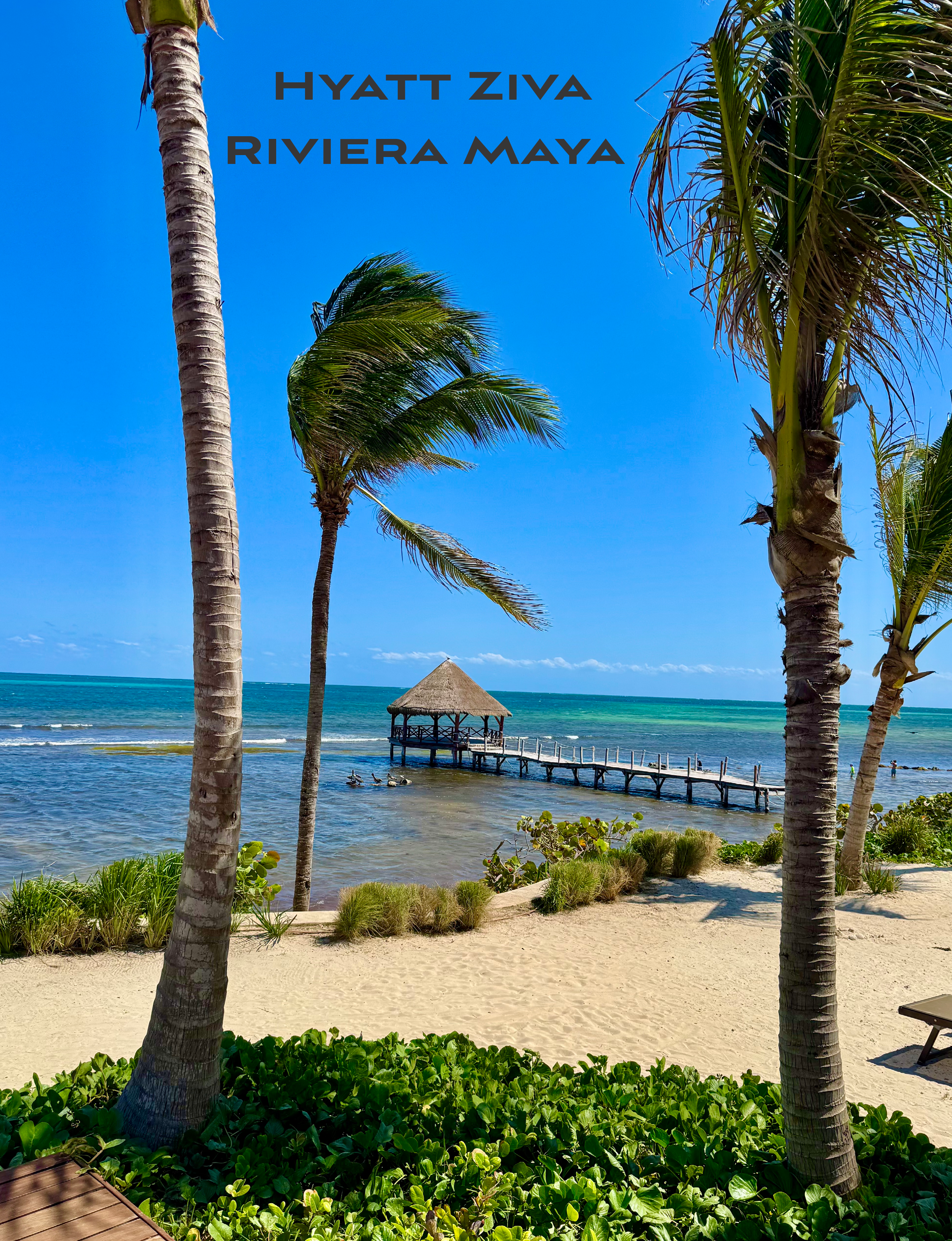 Riviera Maya, Mexico Travel Guide: Beaches, Luxury Resorts, and Things to Do