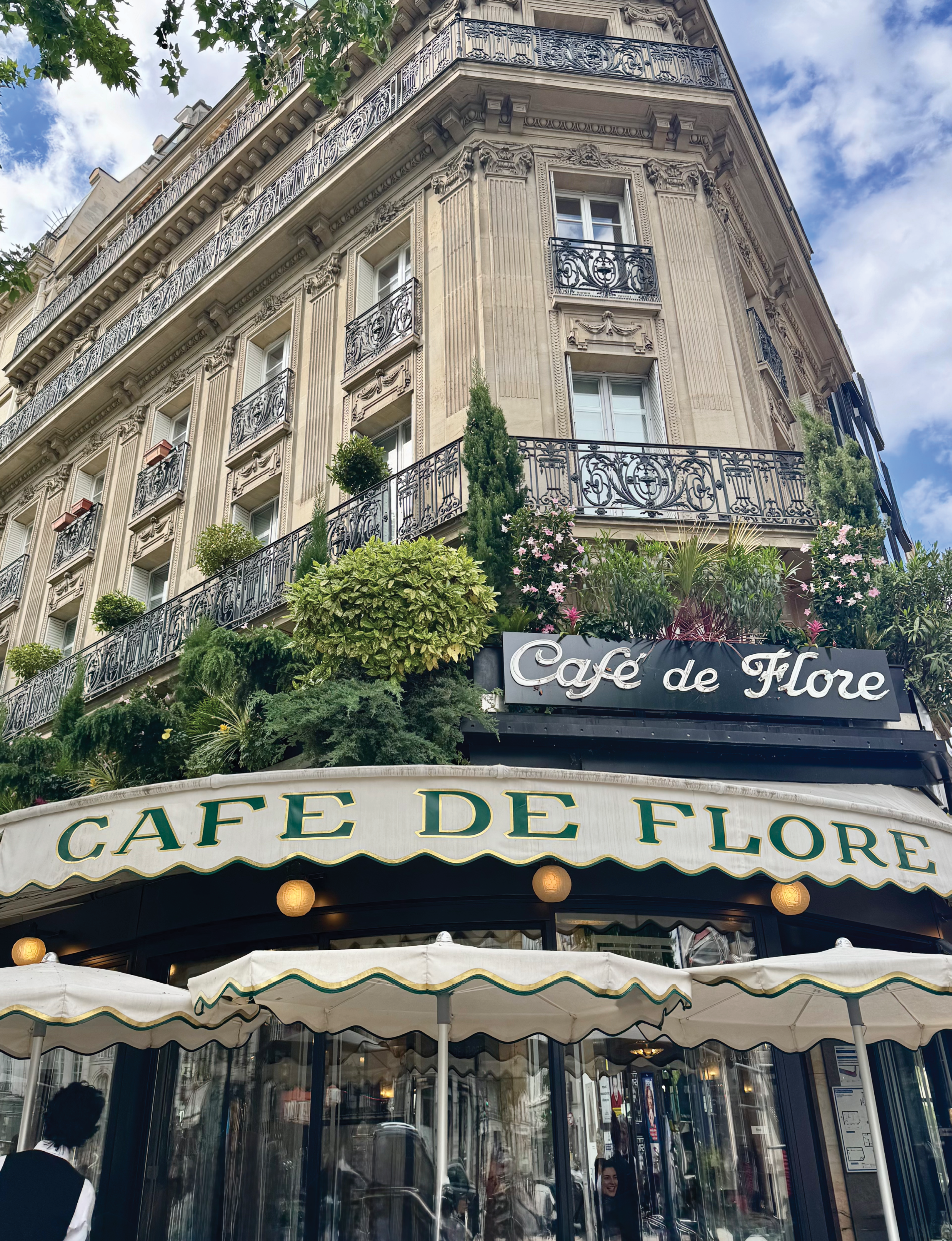 Paris Café Guide: Best Cafés Near the Eiffel Tower, Louvre, and Saint-Germain