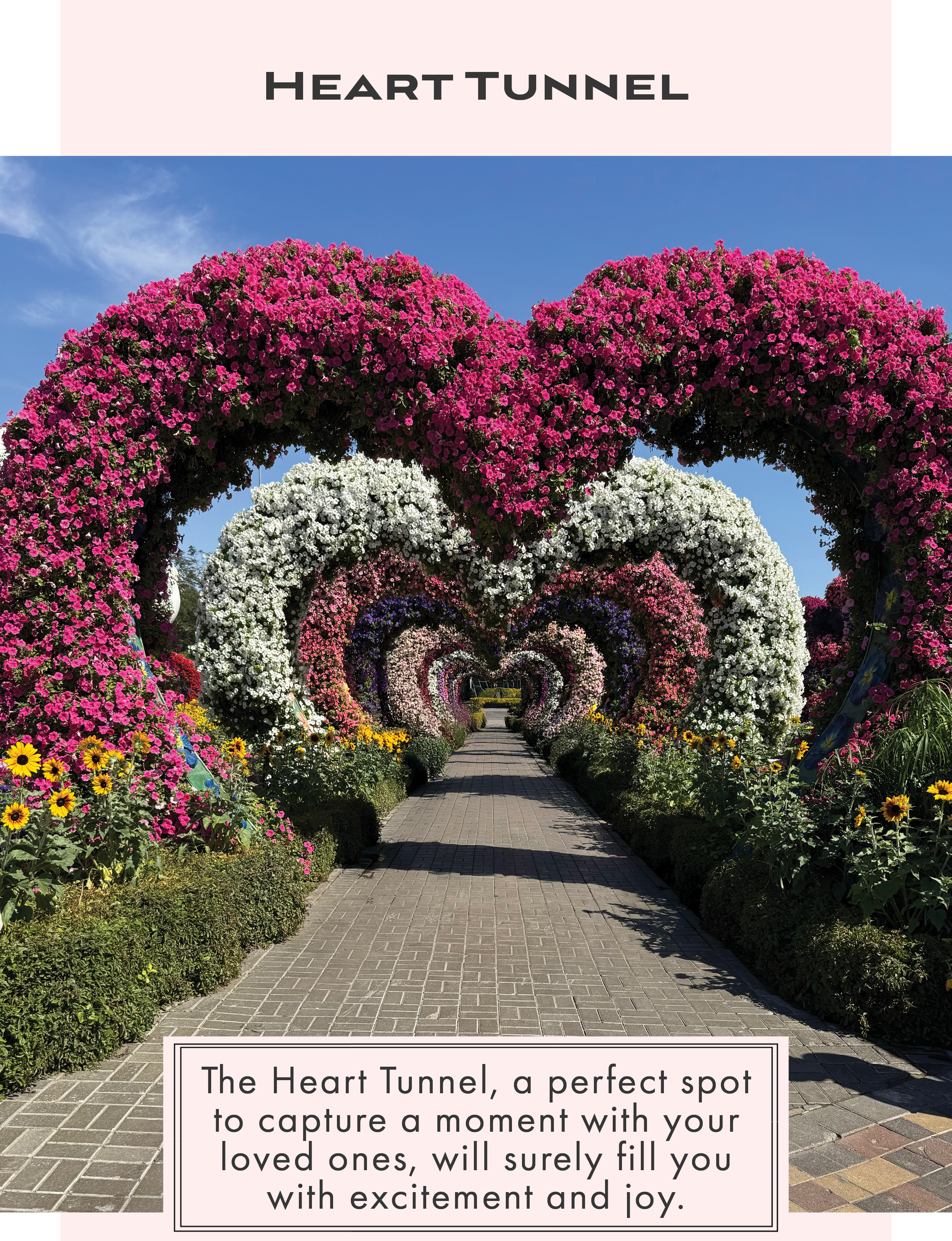 Dubai Miracle Garden