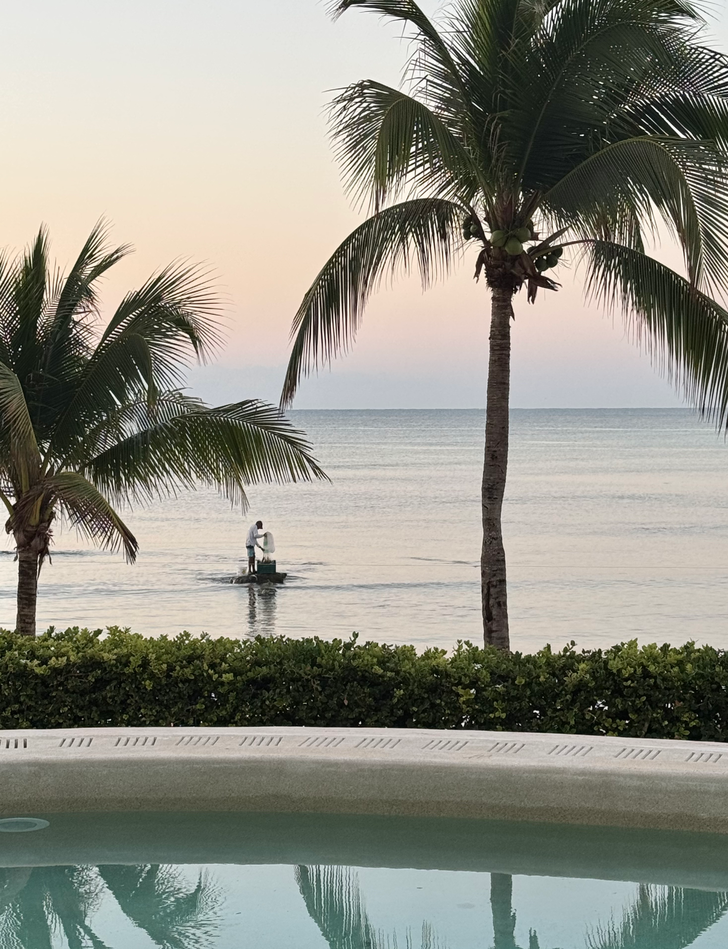 a serene tropical sunrise view from a beachfront pool terrace, looking out over calm coastal waters framed by swaying palm trees and a lone fisherman in the distance