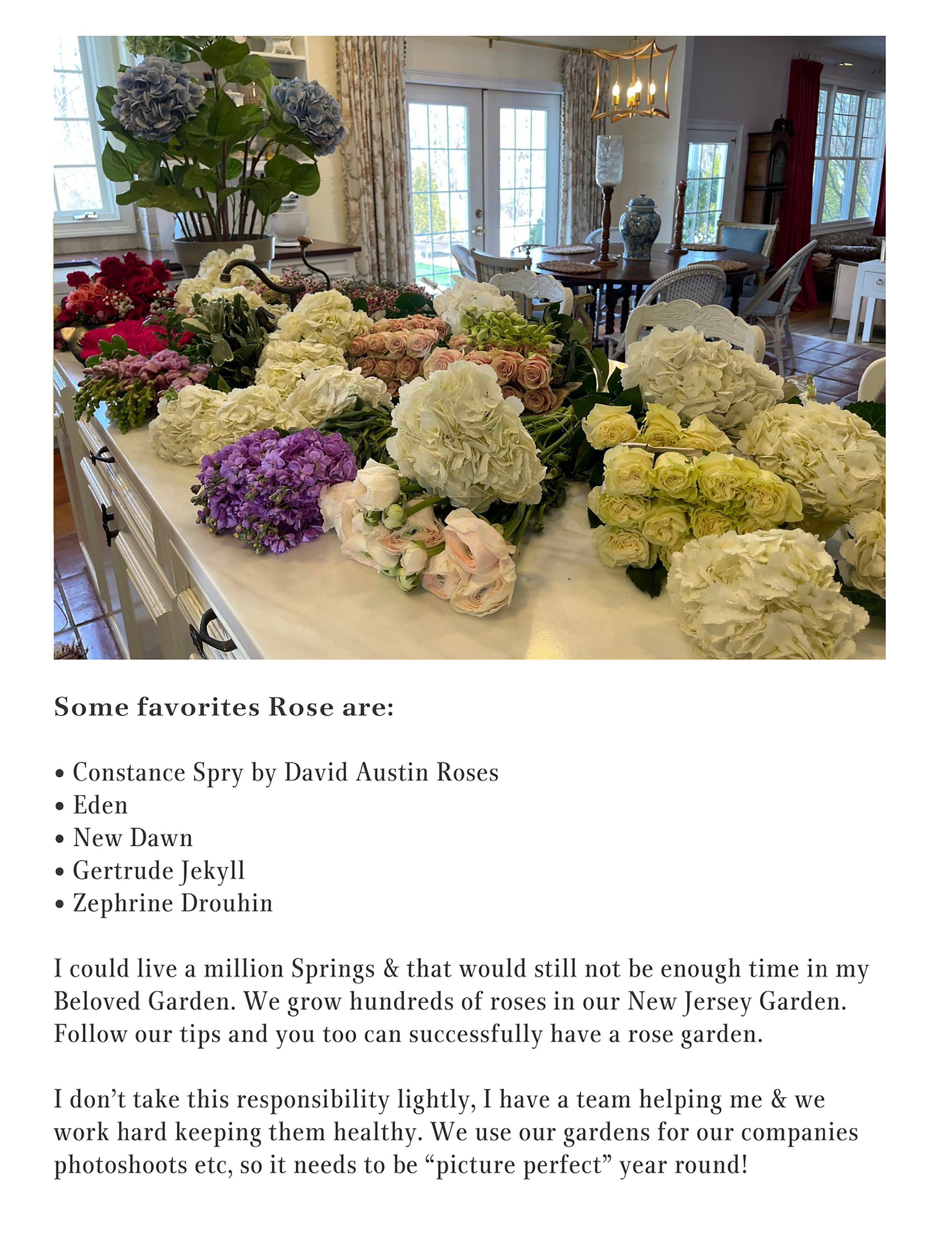 different types of roses