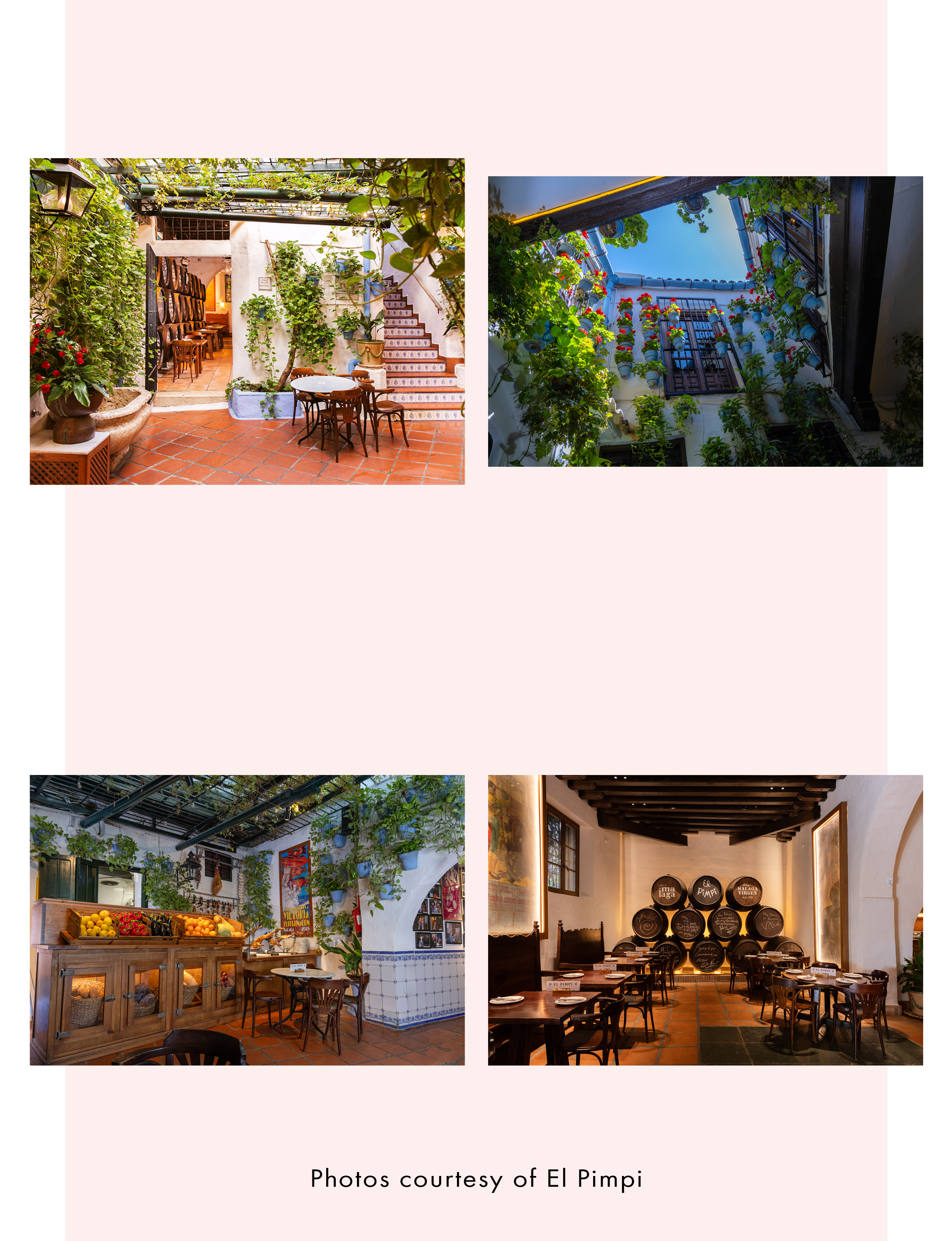 El Pimpi Restaurant Malaga Spain stunning interiors