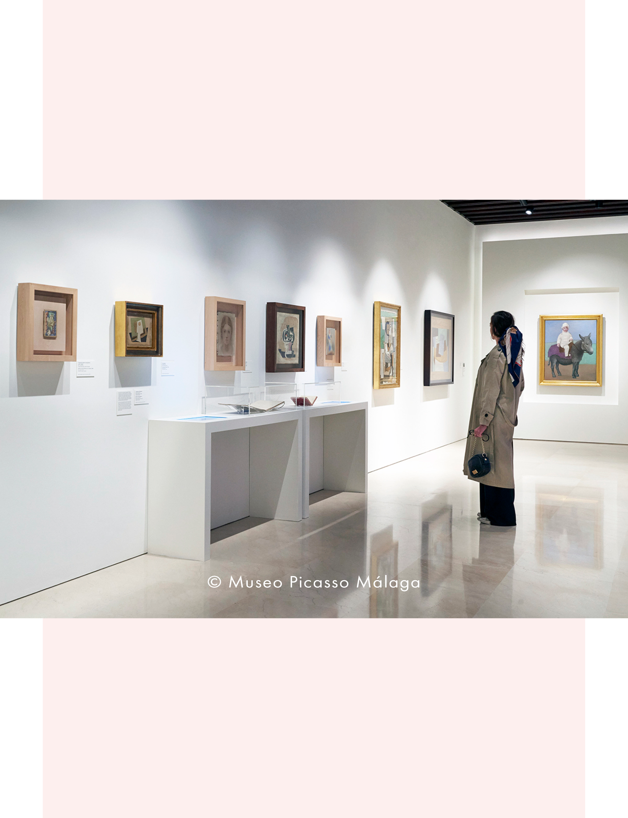 artwork at Museo Picasso Malaga