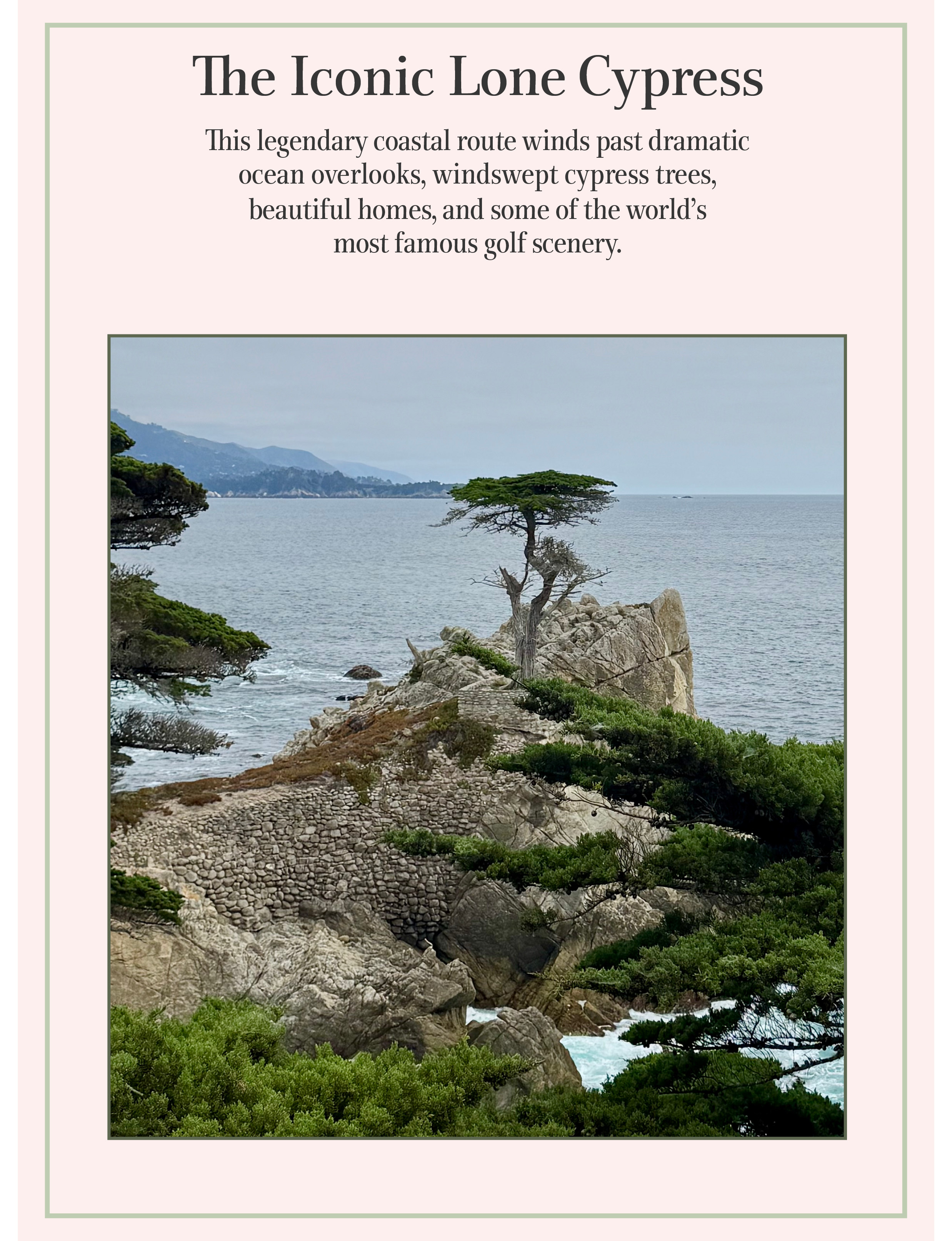 The Iconic Lone Cypress Pebble Beach California
