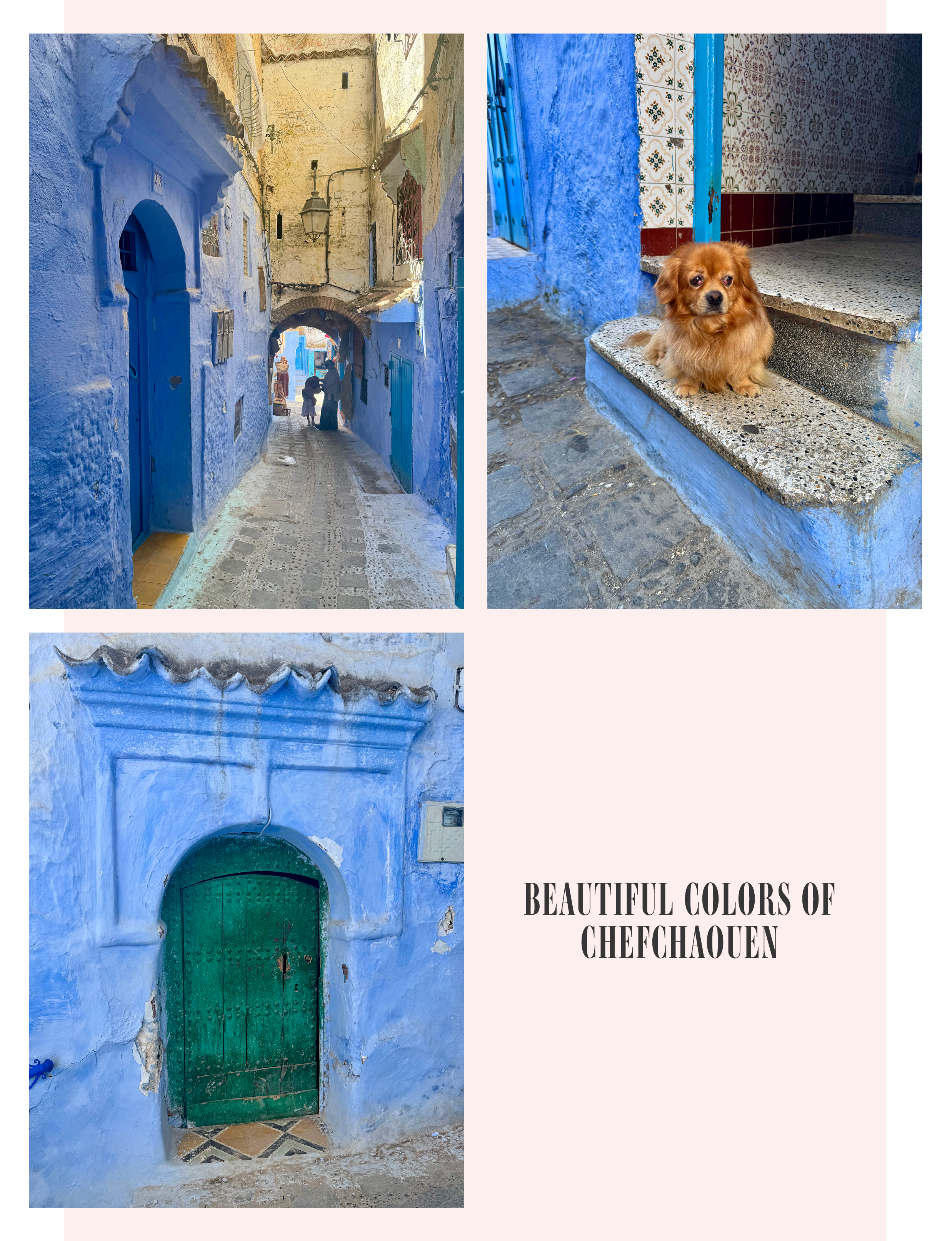Blue buildings of Chefchaouen Morocco Blue City