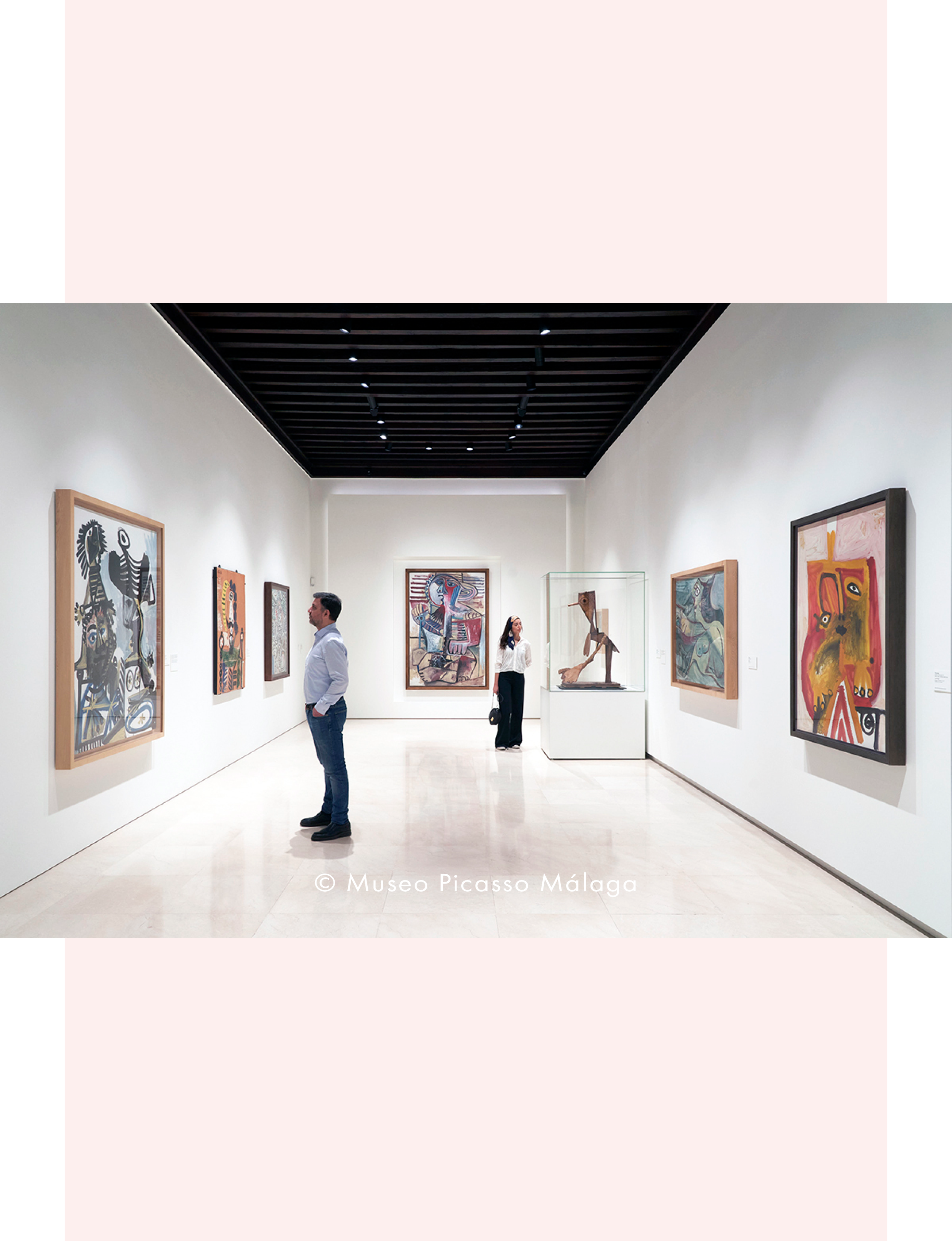 artwork at Museo Picasso Malaga