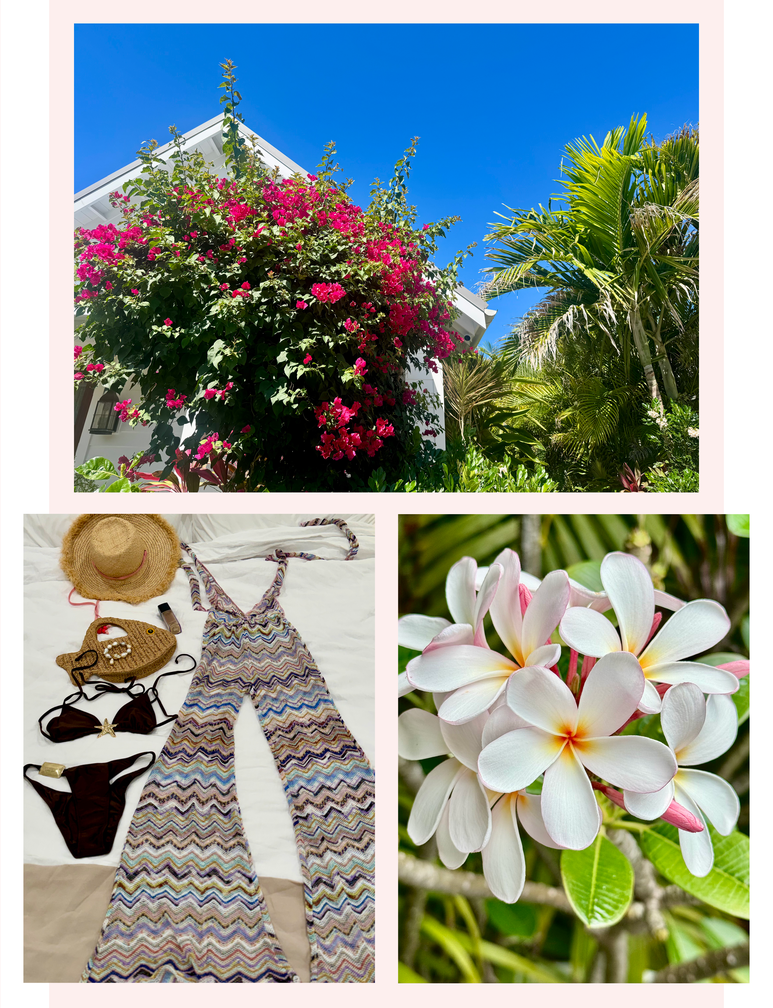 Bougainvillea flowers, fashion, and Plumeria in Grand Cayman