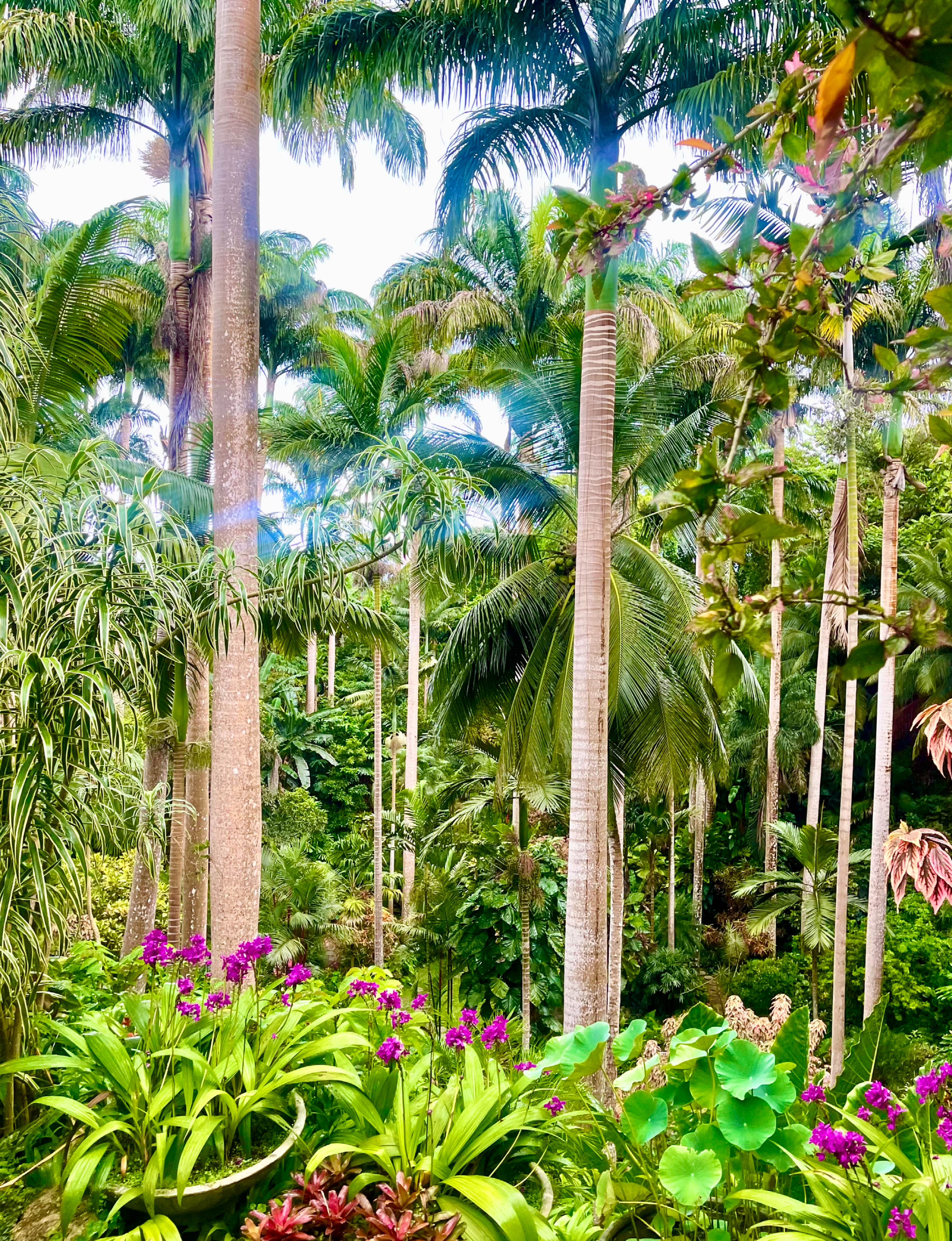 Hunte's Gardens botanical garden in Saint Joseph, Barbados