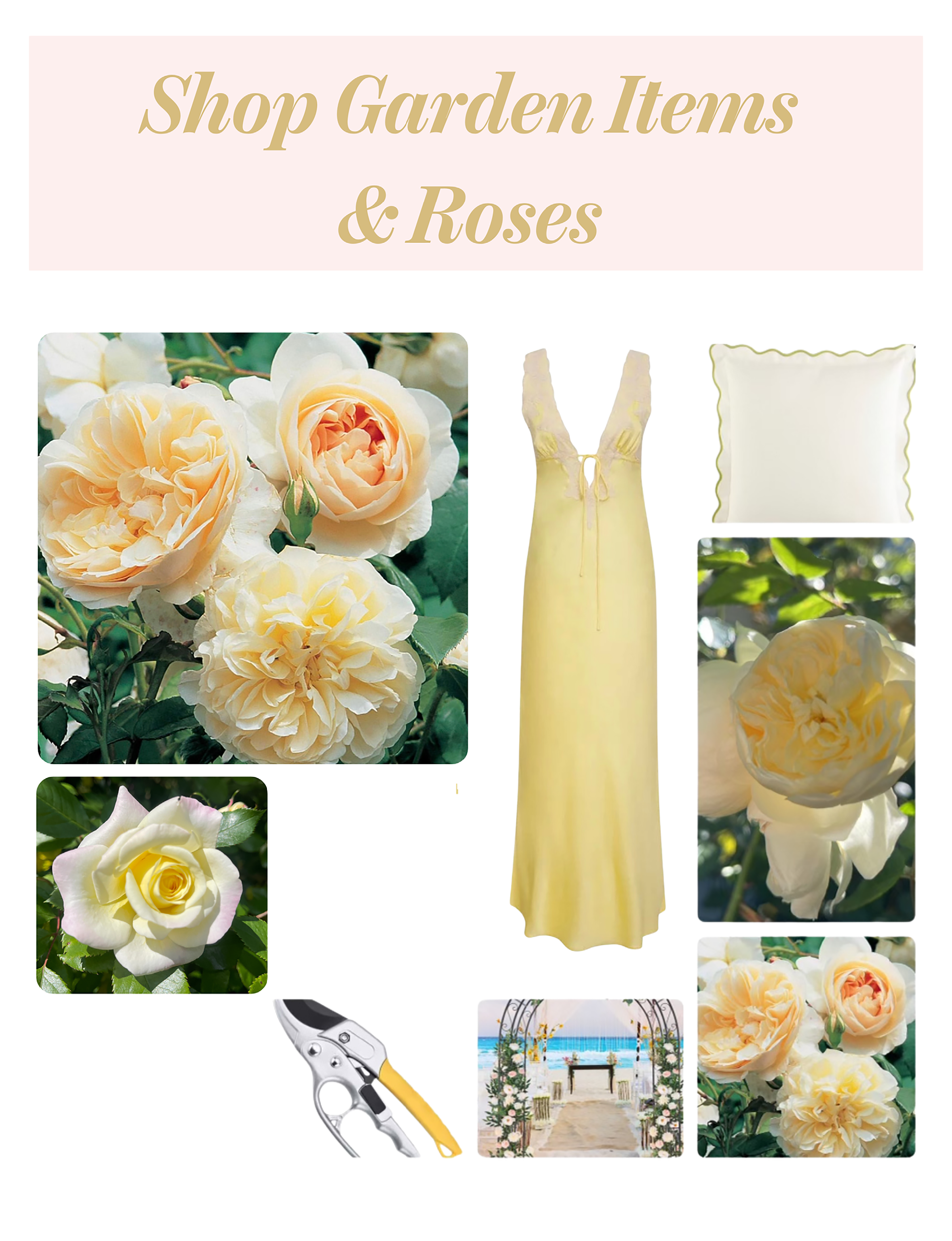Shop Garden Items and Roses