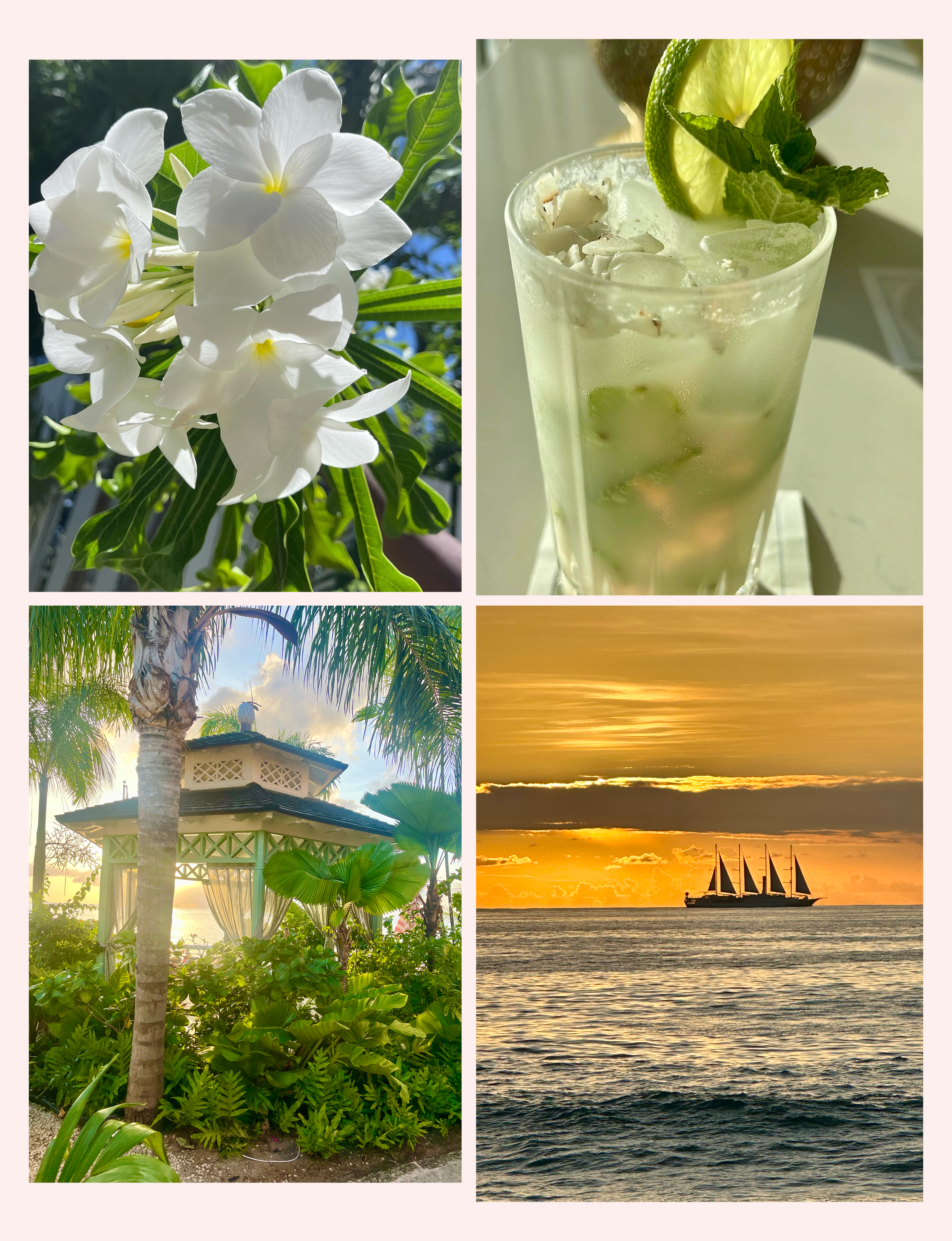 Barbados flowers mojito gazebo sail boats on the ocean