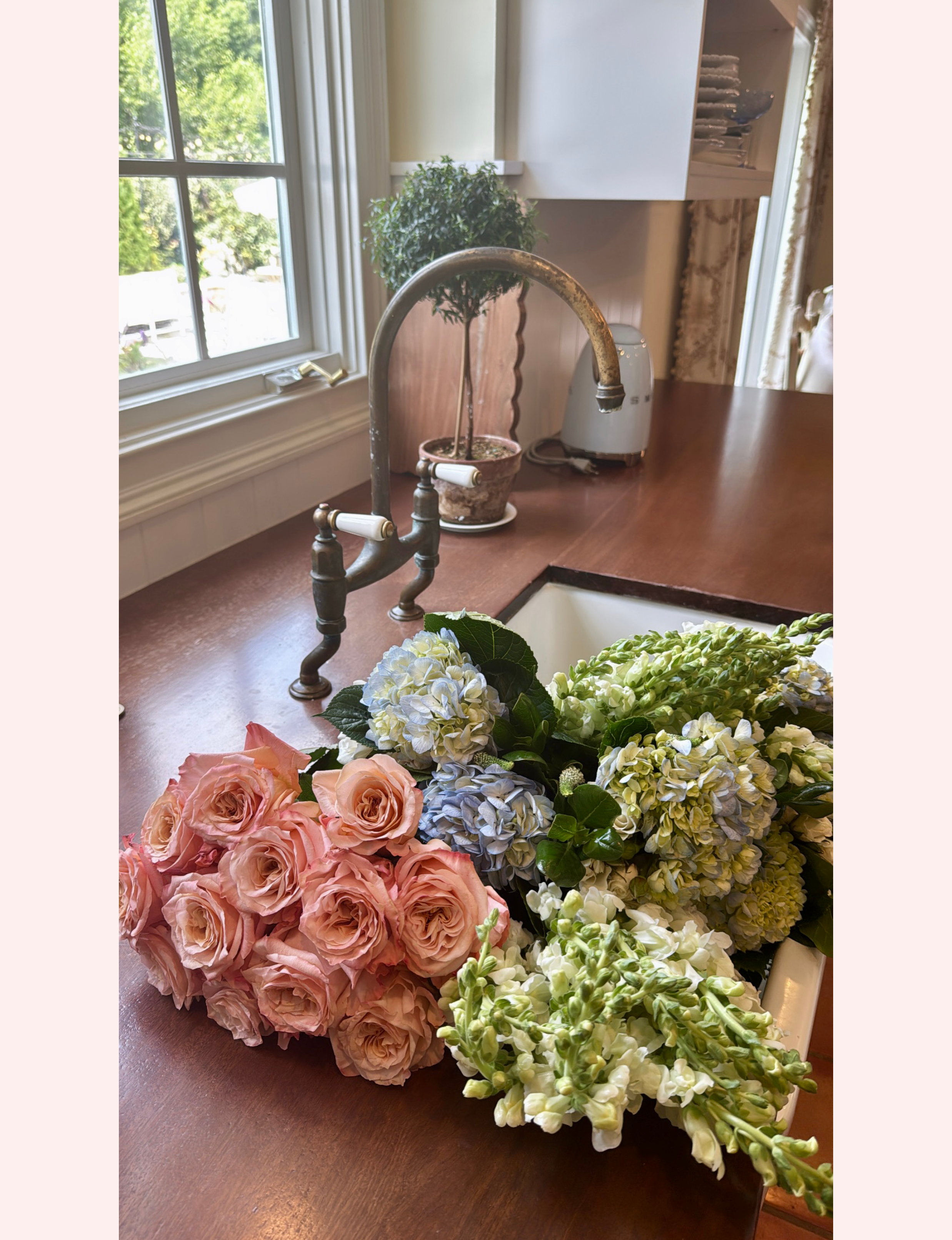 fresh cut flowers