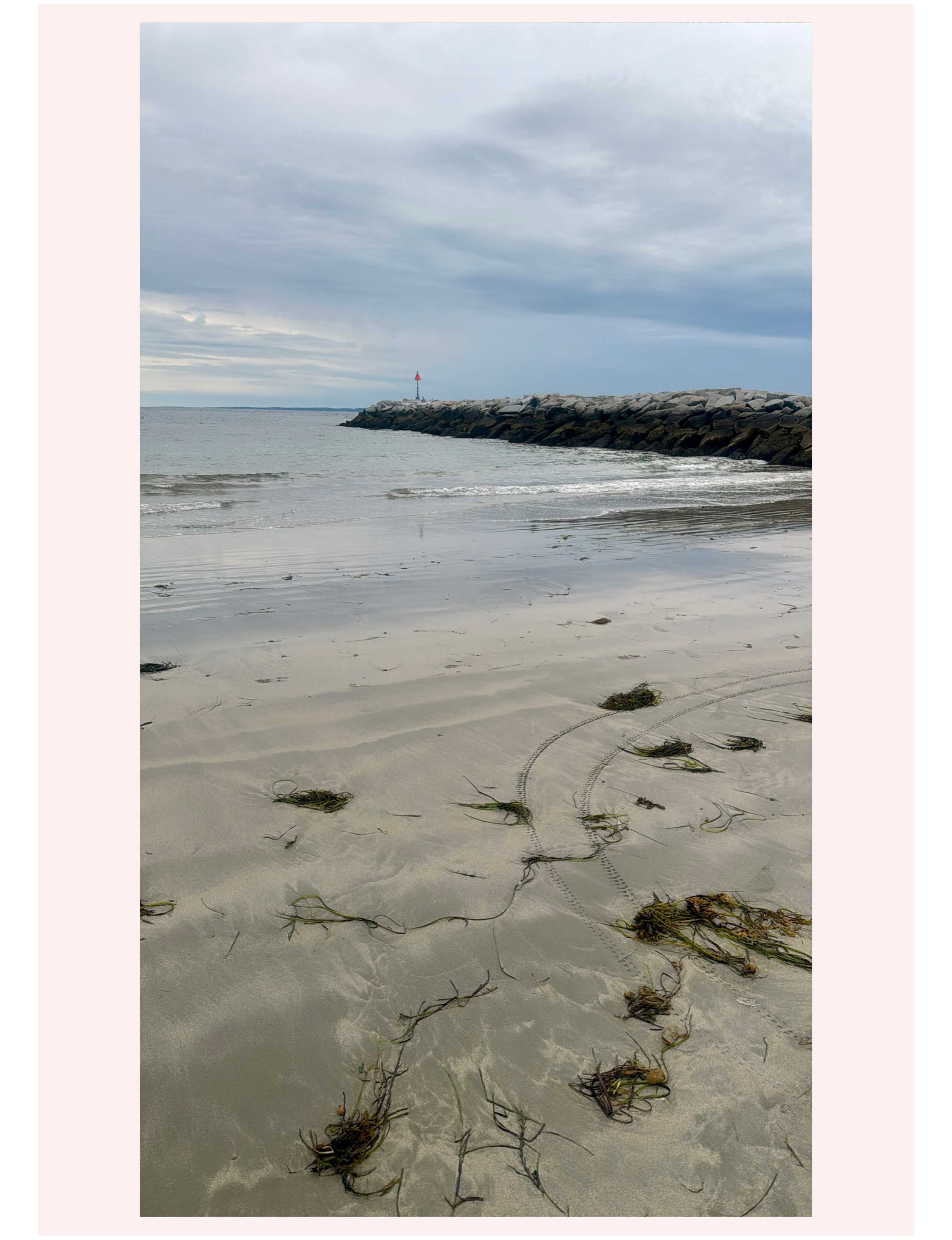 Maine coastal inlet shoreline beach