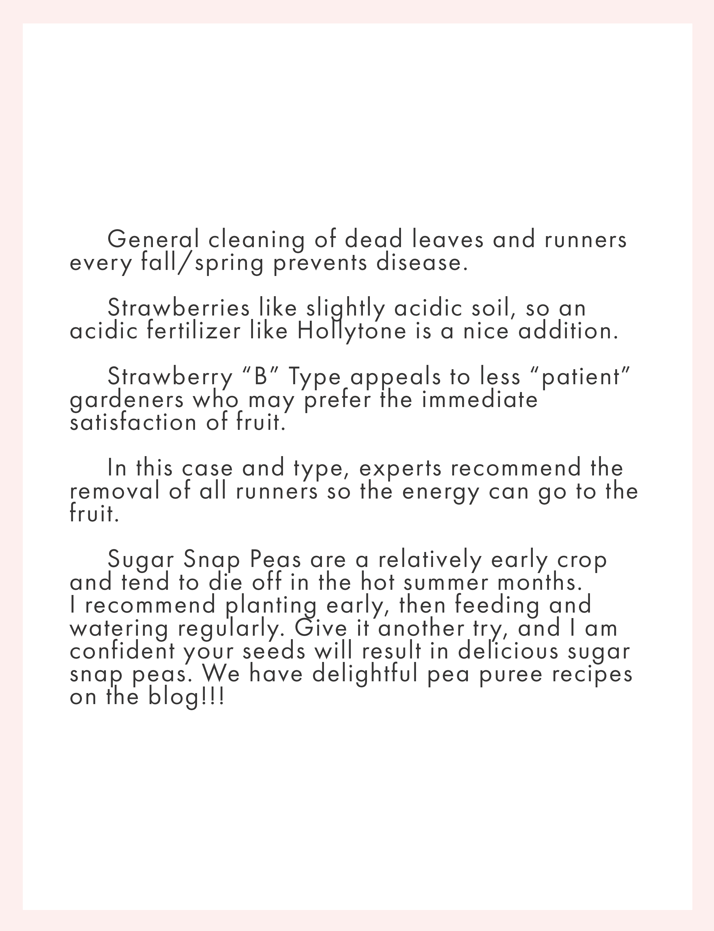 gardening tips how to care for sugar snap peas and strawberries