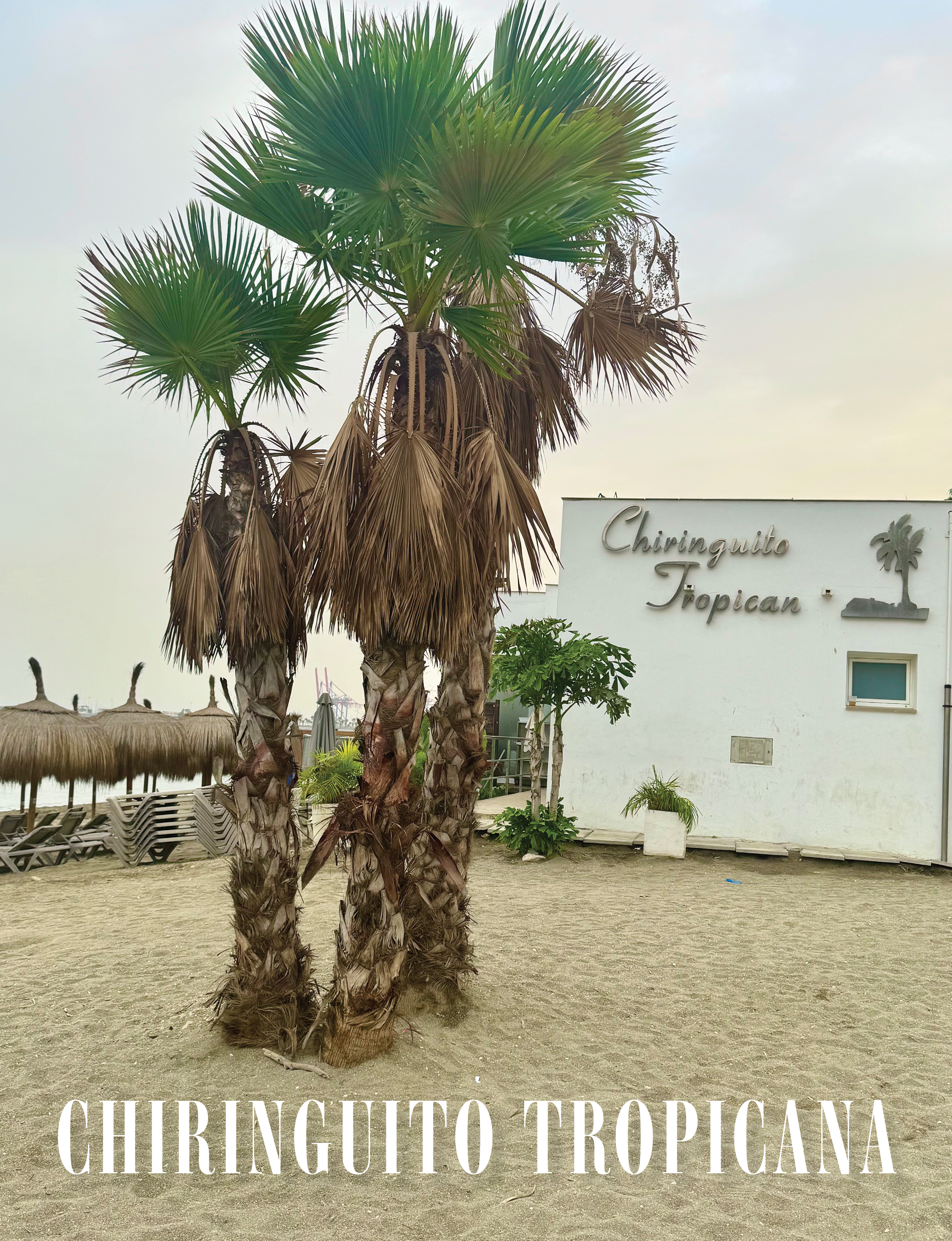 Chiringuito Tropicana Restaurant in Malaga Spain