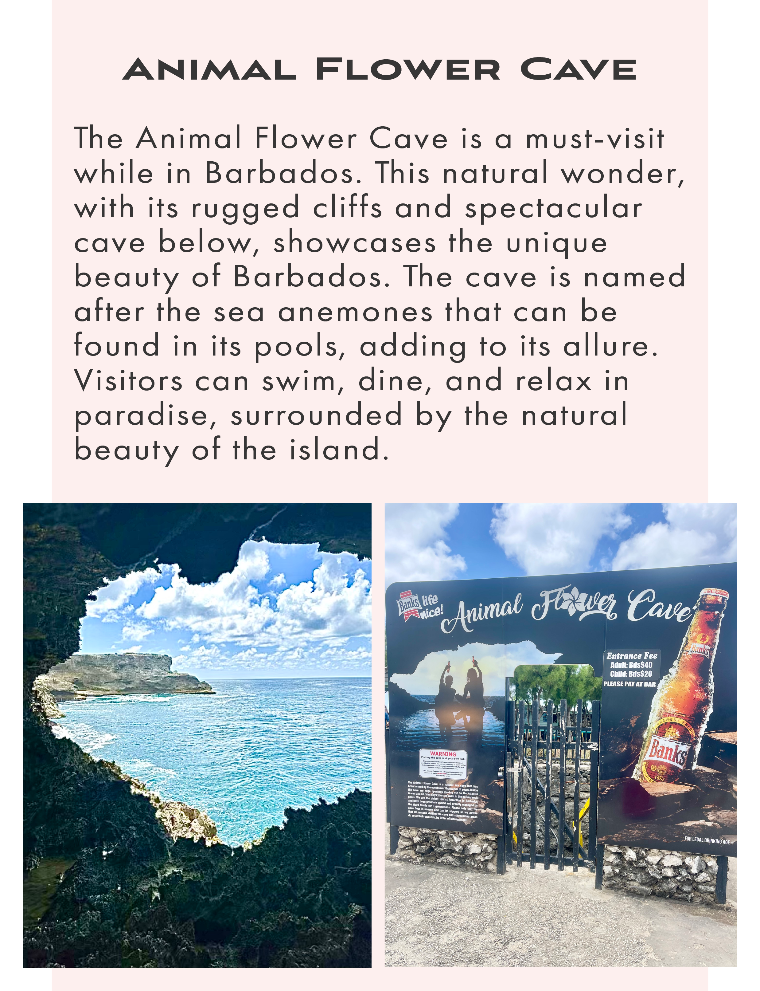 Animal Flower Cave, North Point Gardens, Saint Lucy Barbados