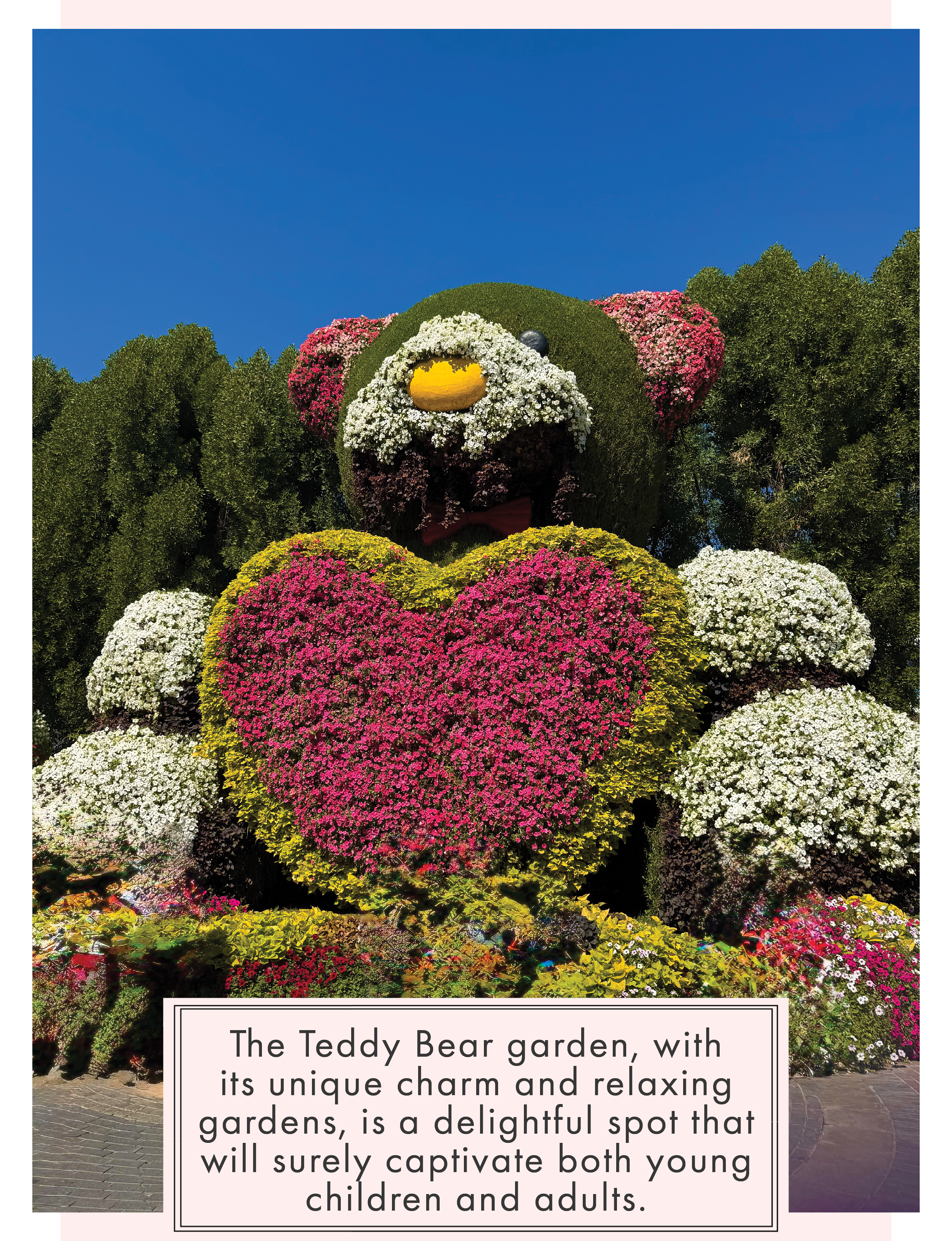 Teddy Bear garden at Dubai Miracle Garden
