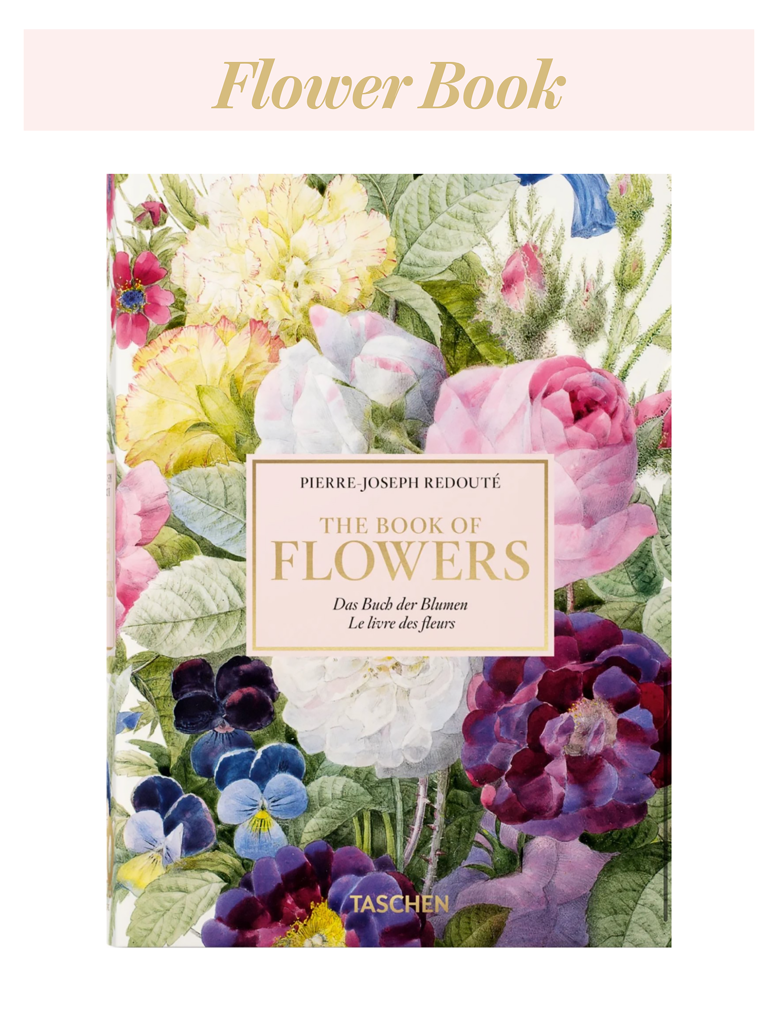 Pierre-Joseph Redouté, The Book of Flowers: Das Buch der Blumen, Le livre des fleurs