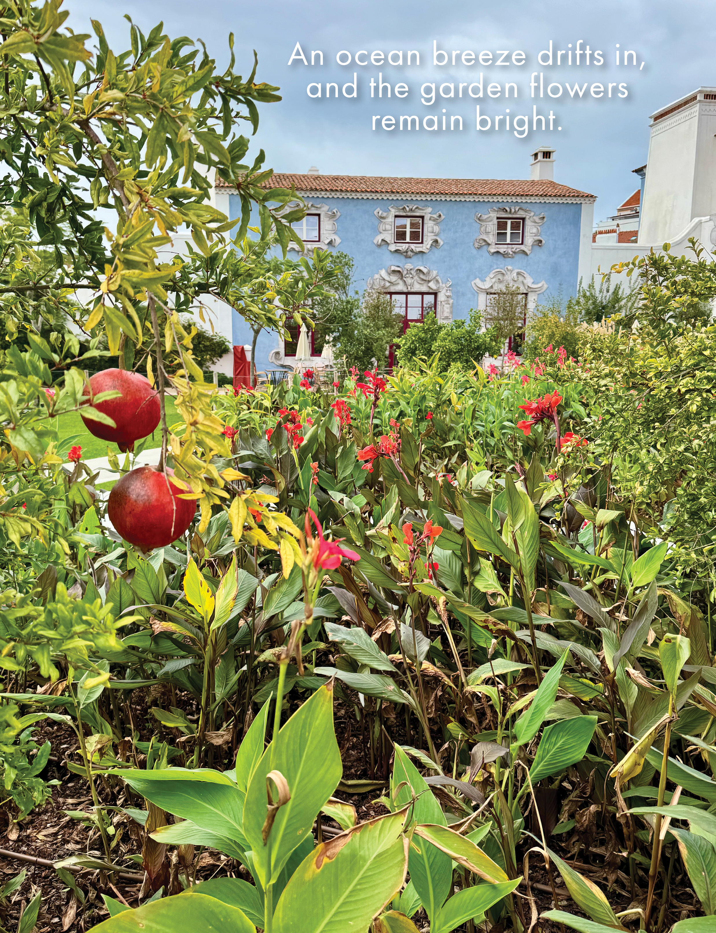 Melides Portugal Hotel Vermelho gardens fruit