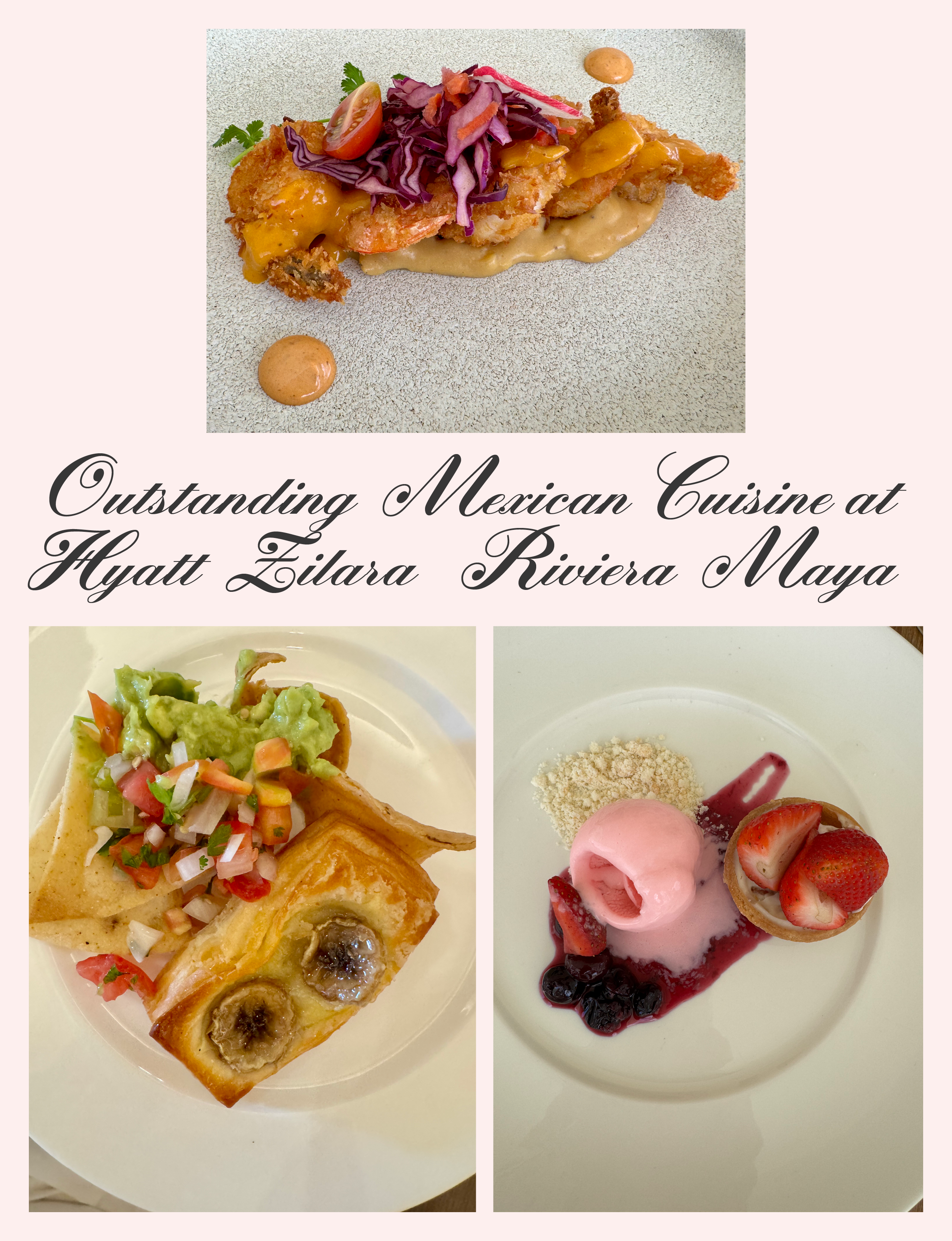 vibrant Mexican culinary presentations featuring seafood, tacos with guacamole, and a berry-garnished dessert from the Hyatt Zilara Riviera Maya resort