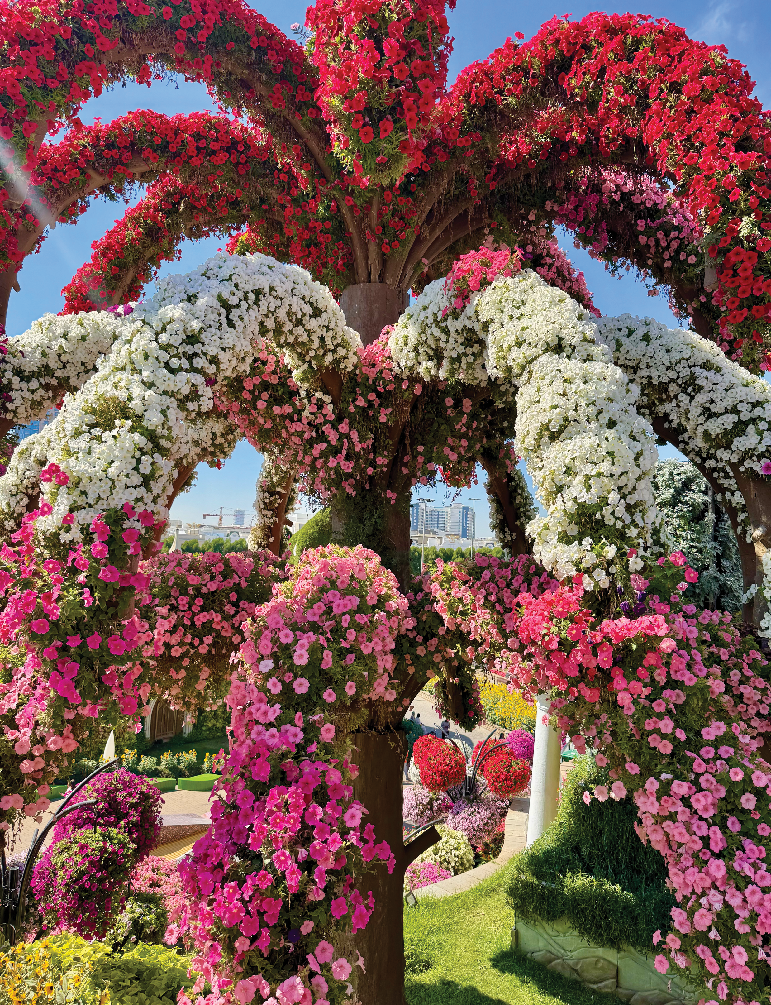 tree of flowers at Dubai Miracle Garden