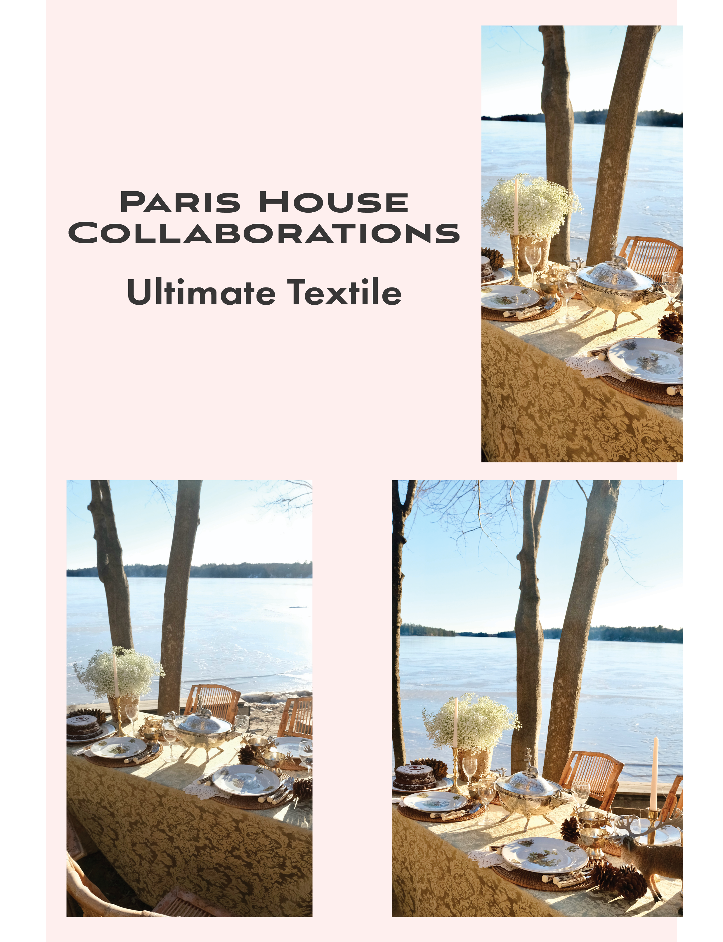 Paris House collaboration with Ultimate Textile