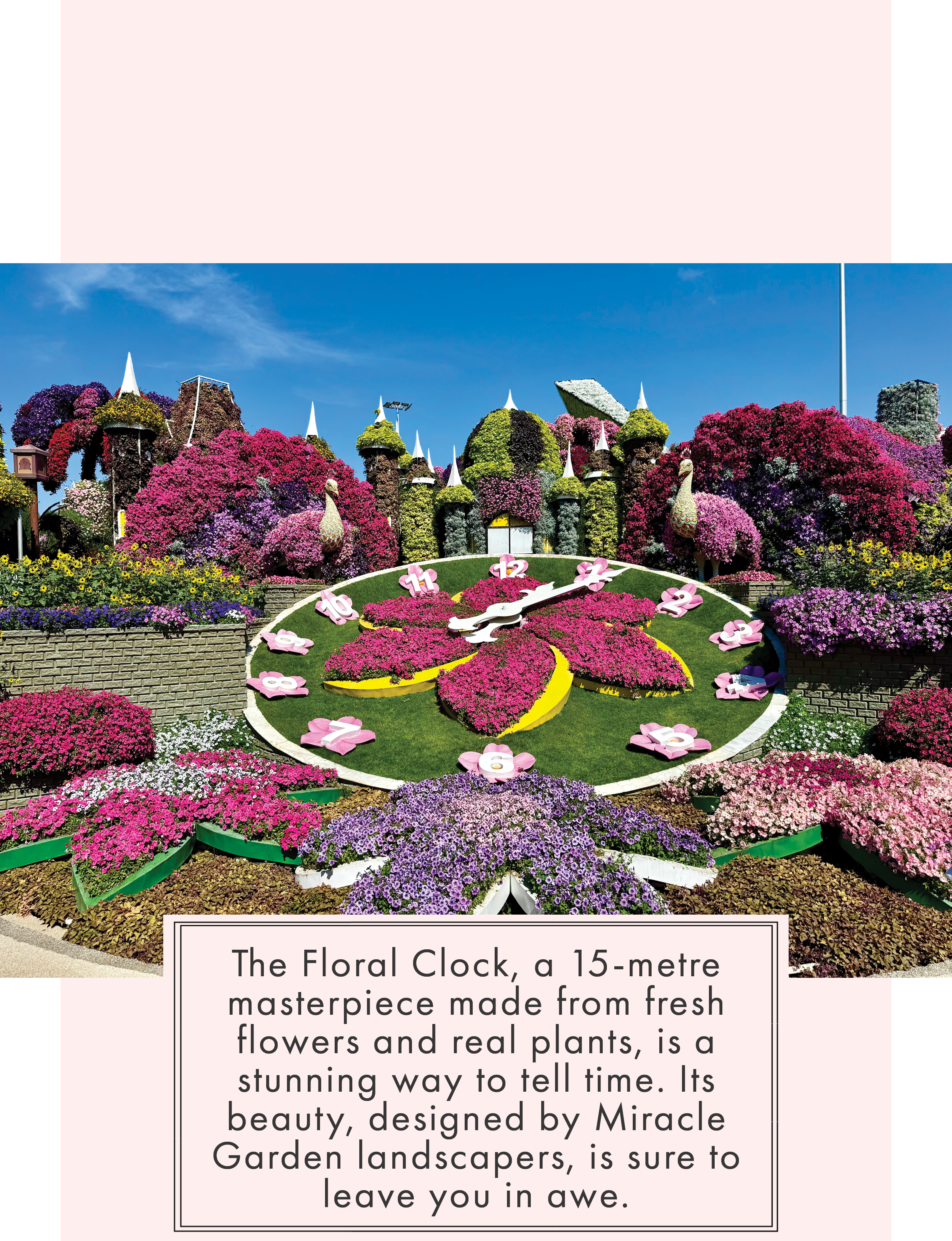 Floral Clock at Dubai Miracle Garden
