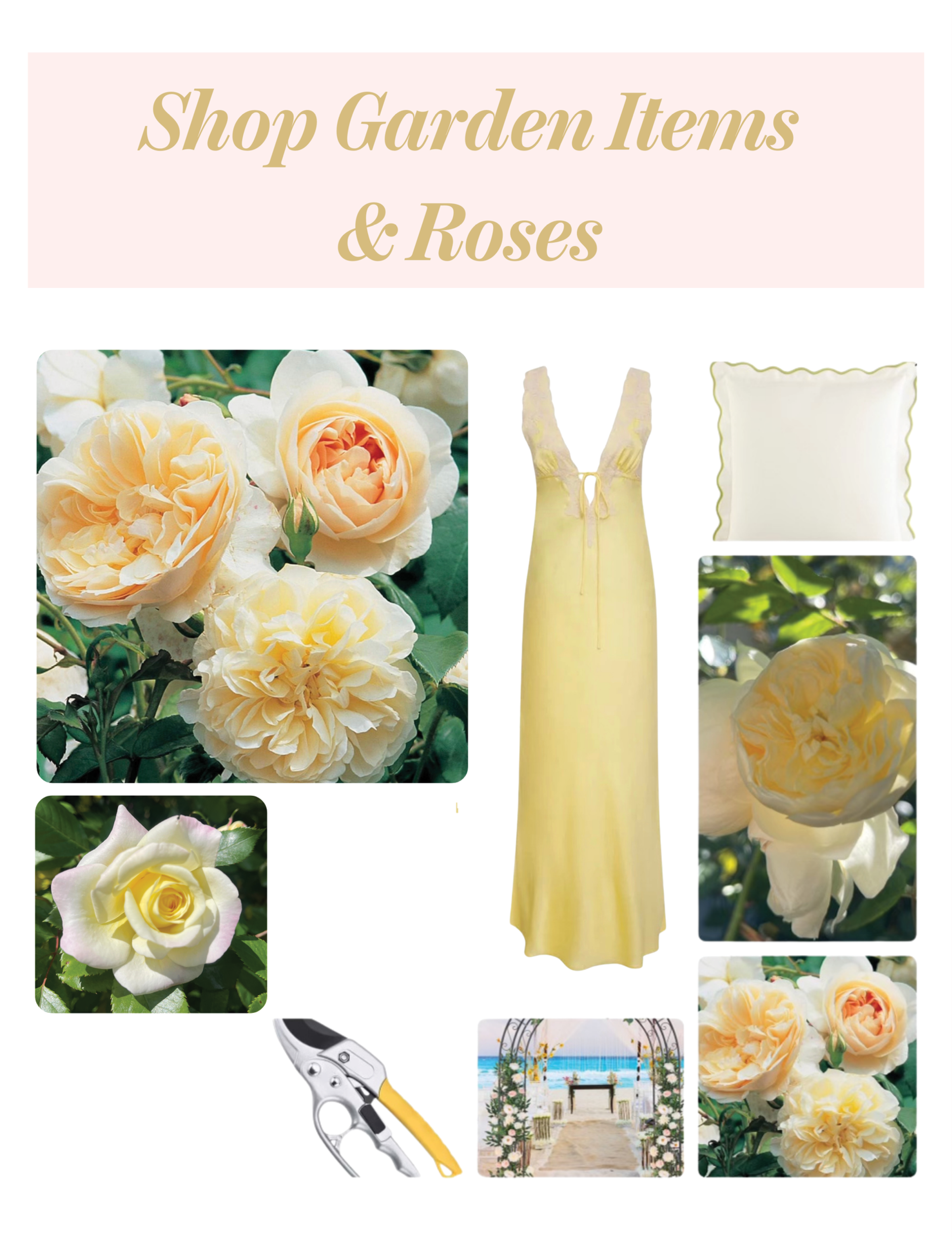 roses yellow dress shears for the garden