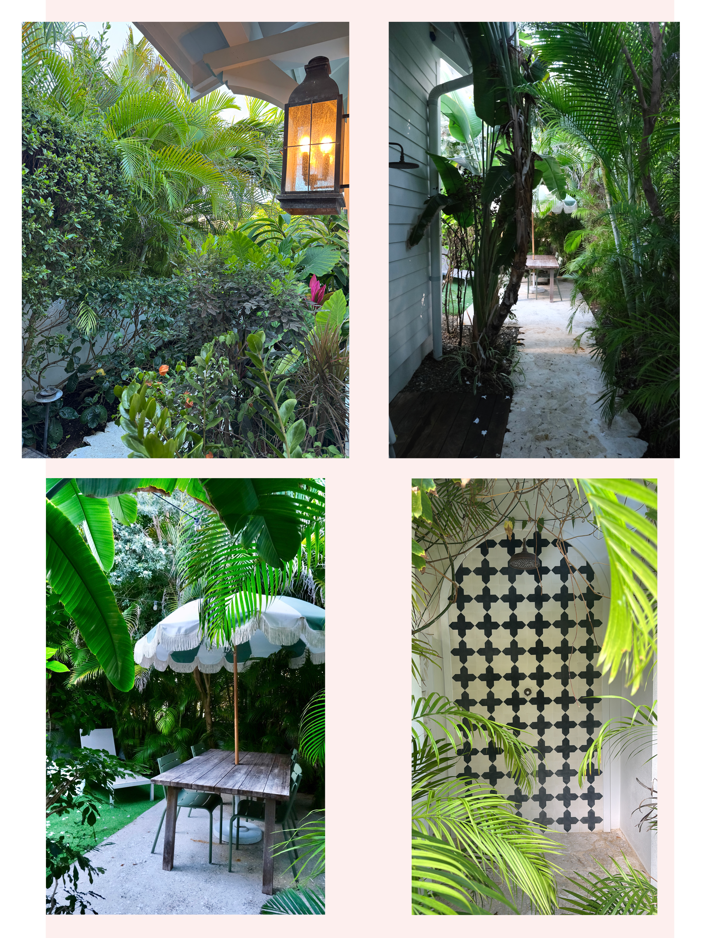lush gardens at Botanica Luxury Cottages located in Grand Cayman, Cayman Islands