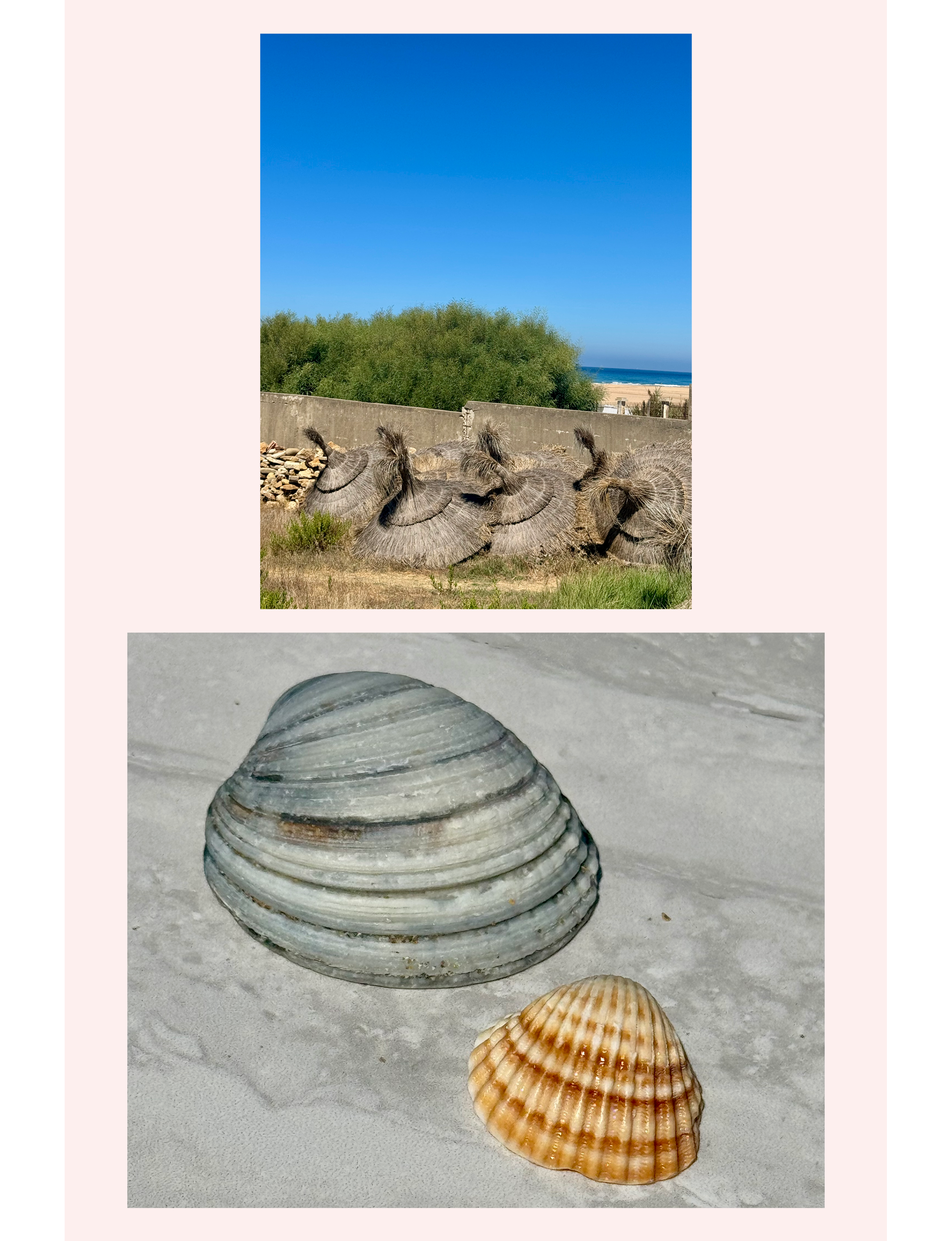 Ocean view and seashells Tangier Morocco Africa
