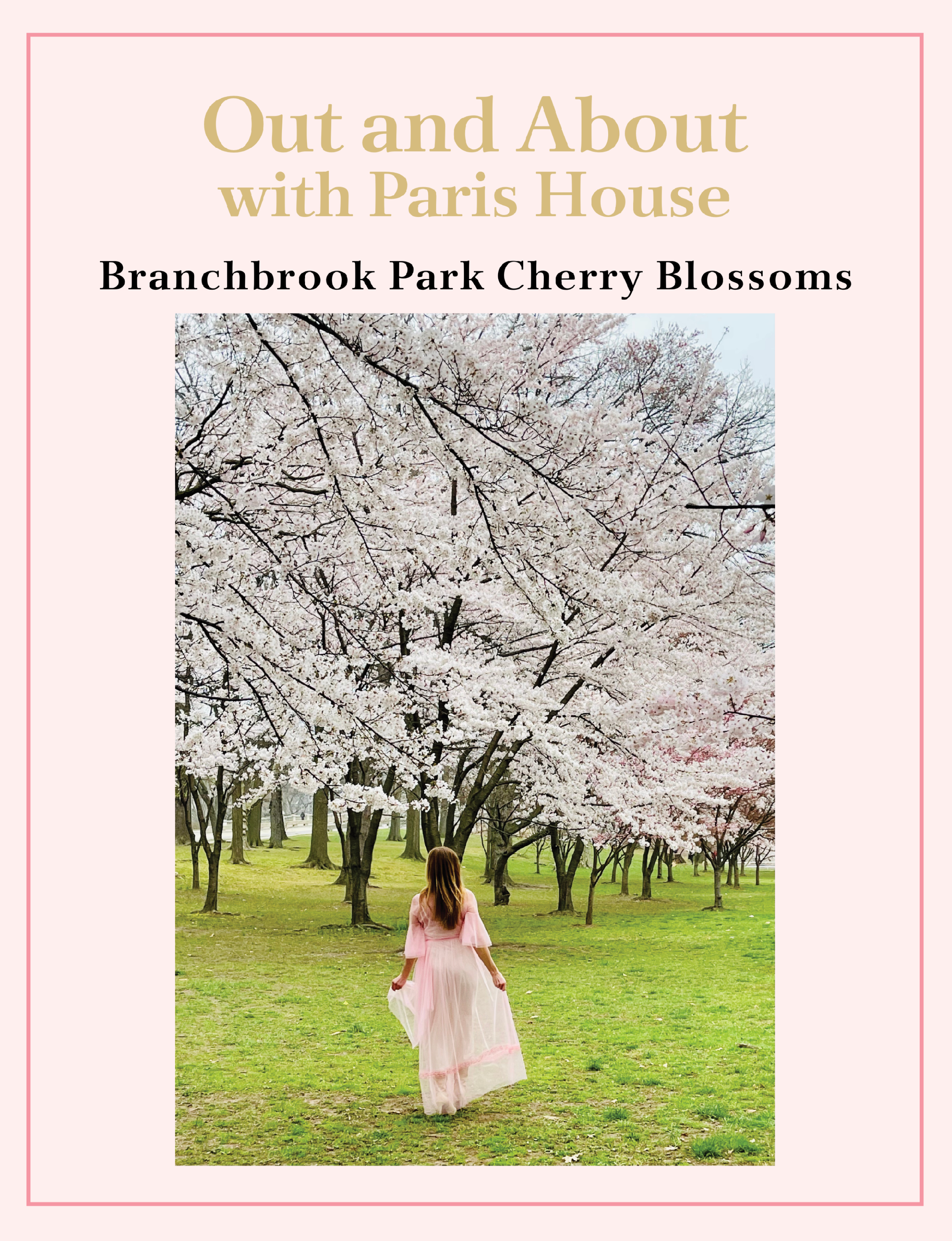 Branchbrook Park New Jersey Cherry Blossoms