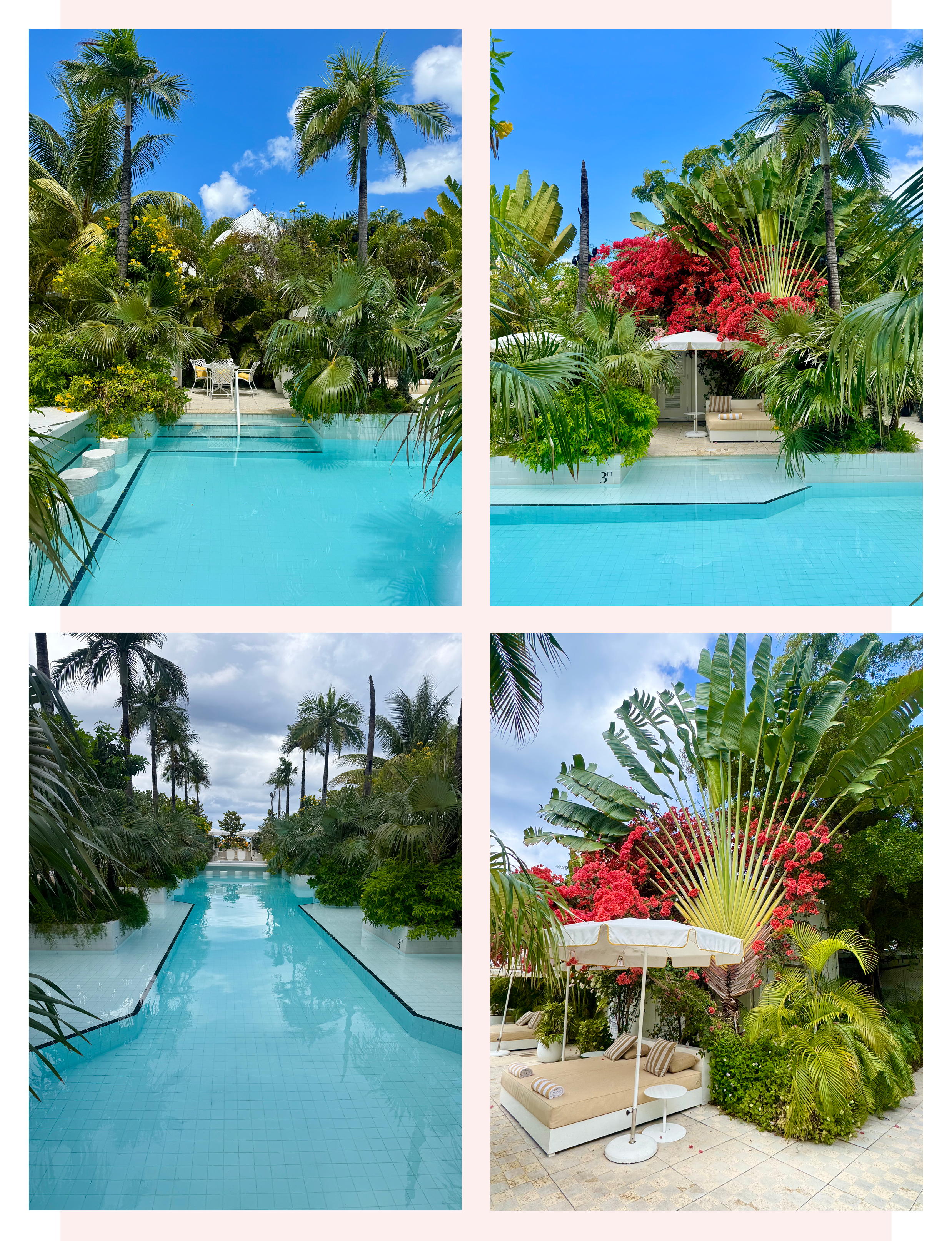 pool and lush tropical courtyard at Palm Heights, a boutique hotel on Seven Mile Beach in Grand Cayman