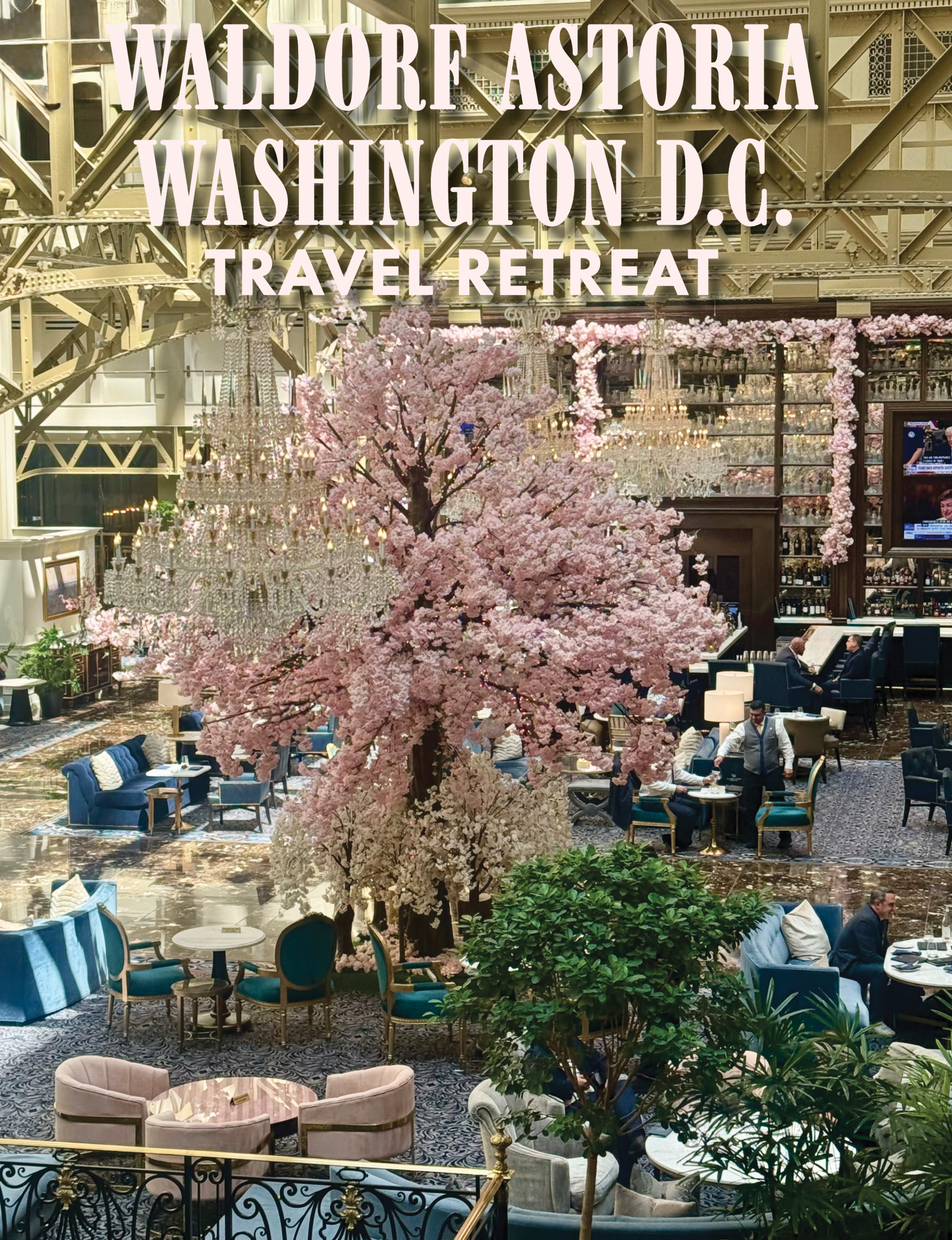 the grand atrium and Peacock Alley lounge at the Waldorf Astoria Washington DC with cherry blossom tree in the center