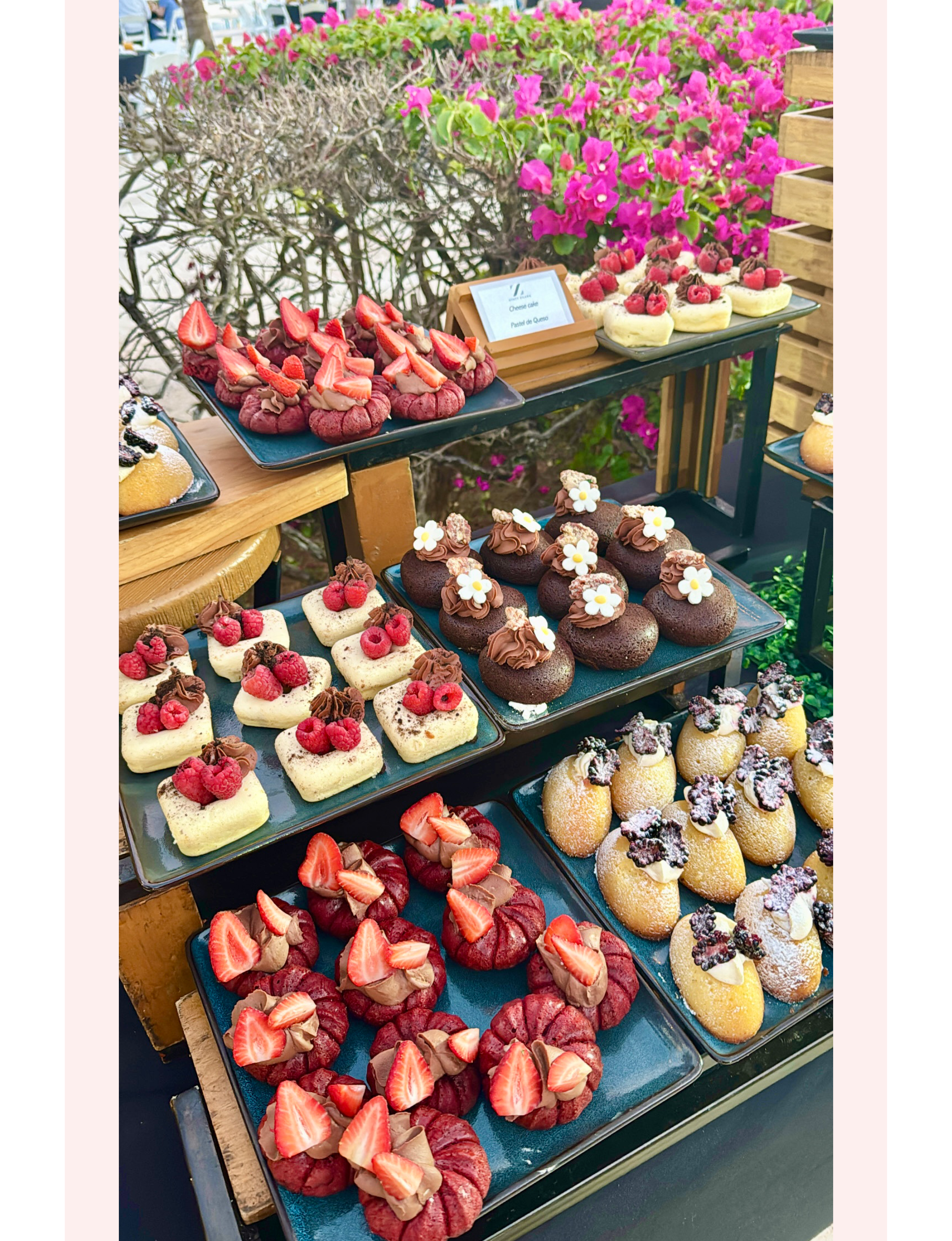 vibrant dessert display features an assortment of artisanal sweets, including strawberry pastries, chocolate tarts, and madeleines