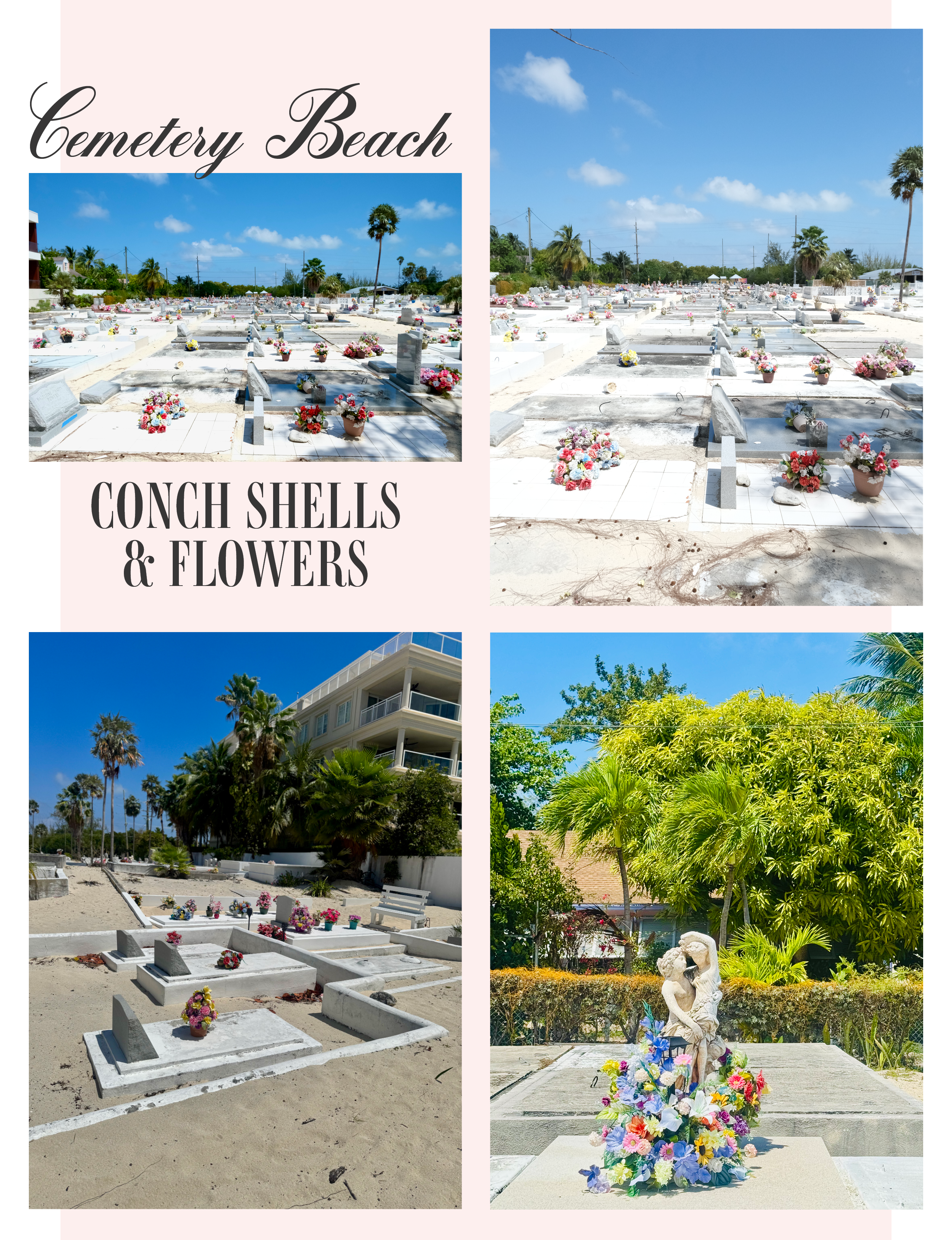 Cemetery Beach, Conch Shells & Flowers