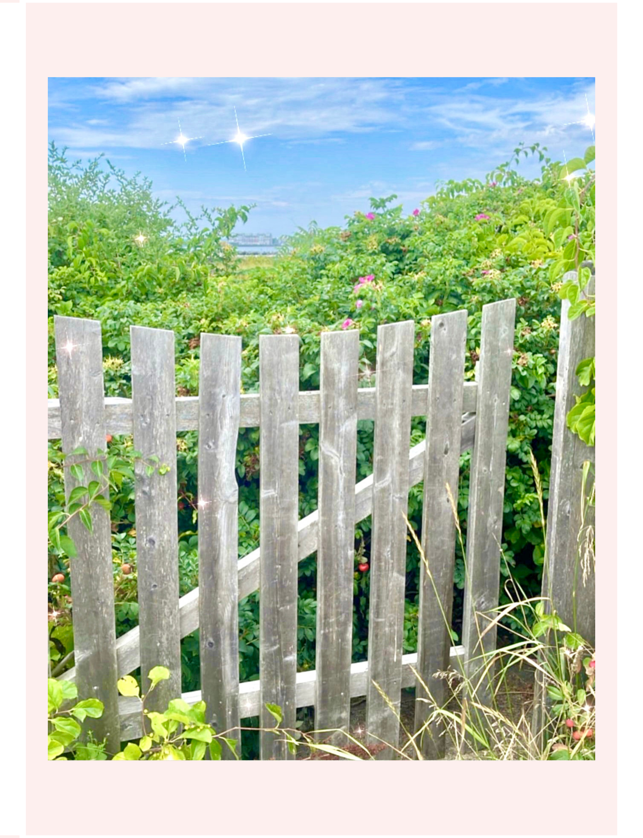 Maine garden fence