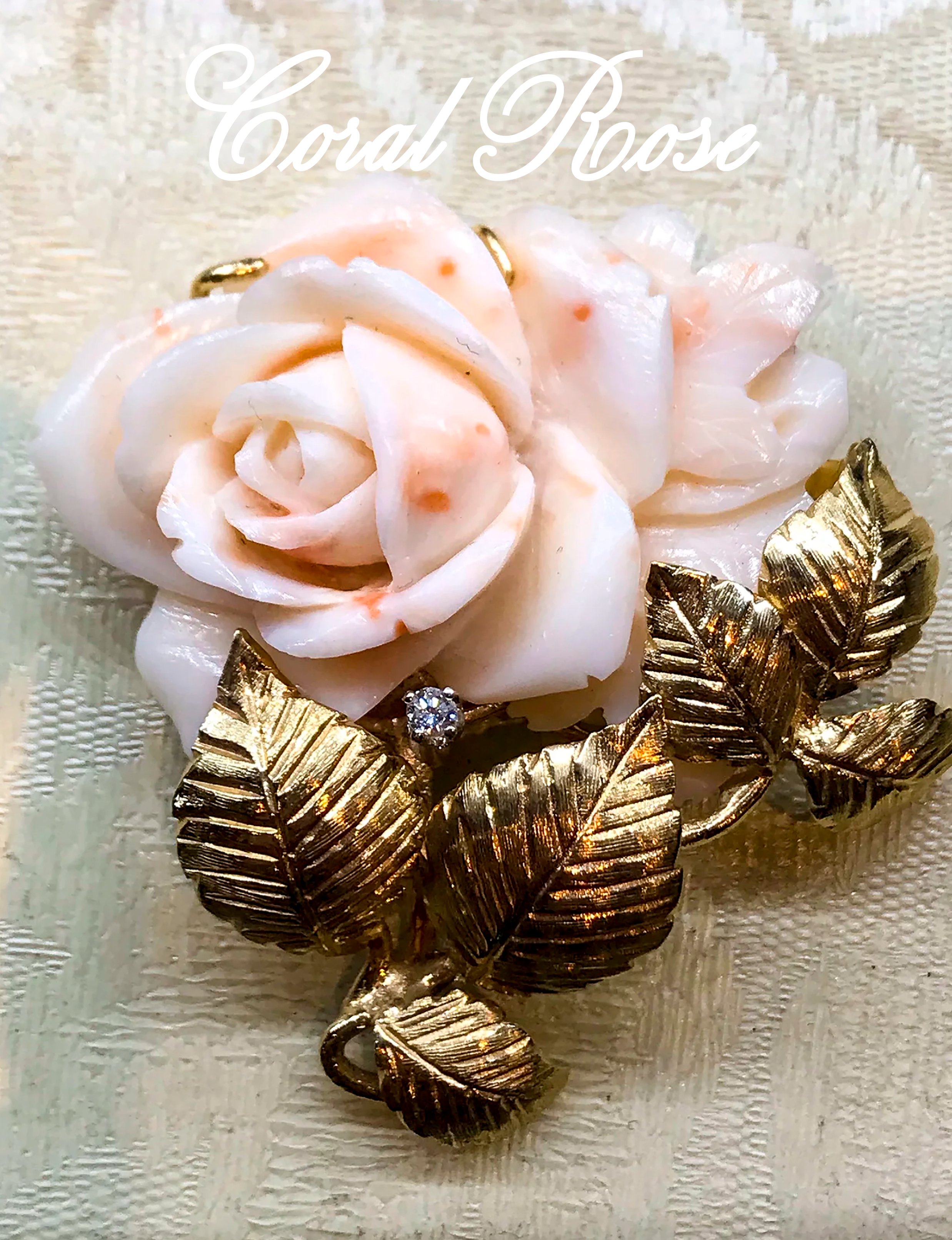 Coral Rose