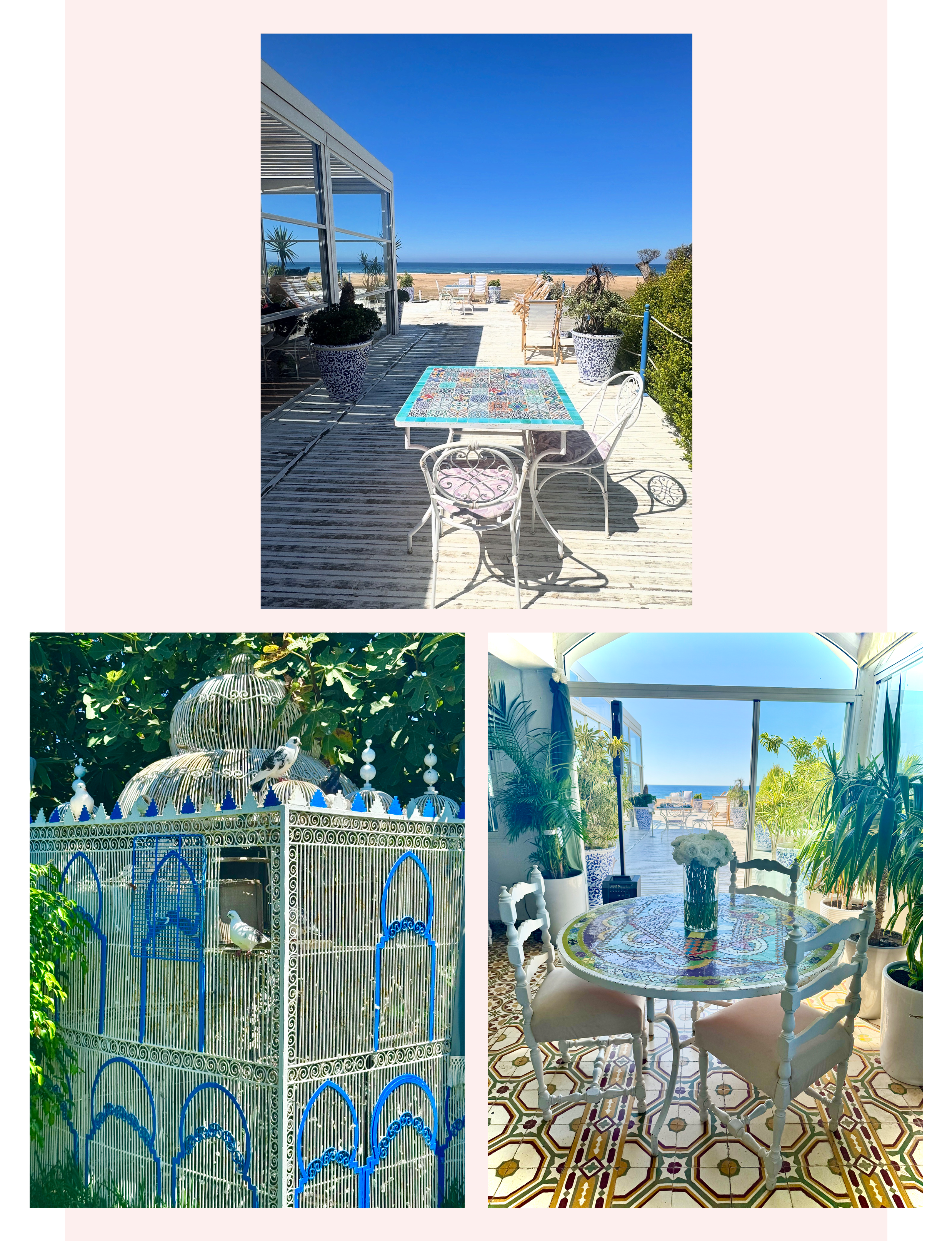 Ocean view, pigeons, beachfront dining at Tangier Morocco Africa