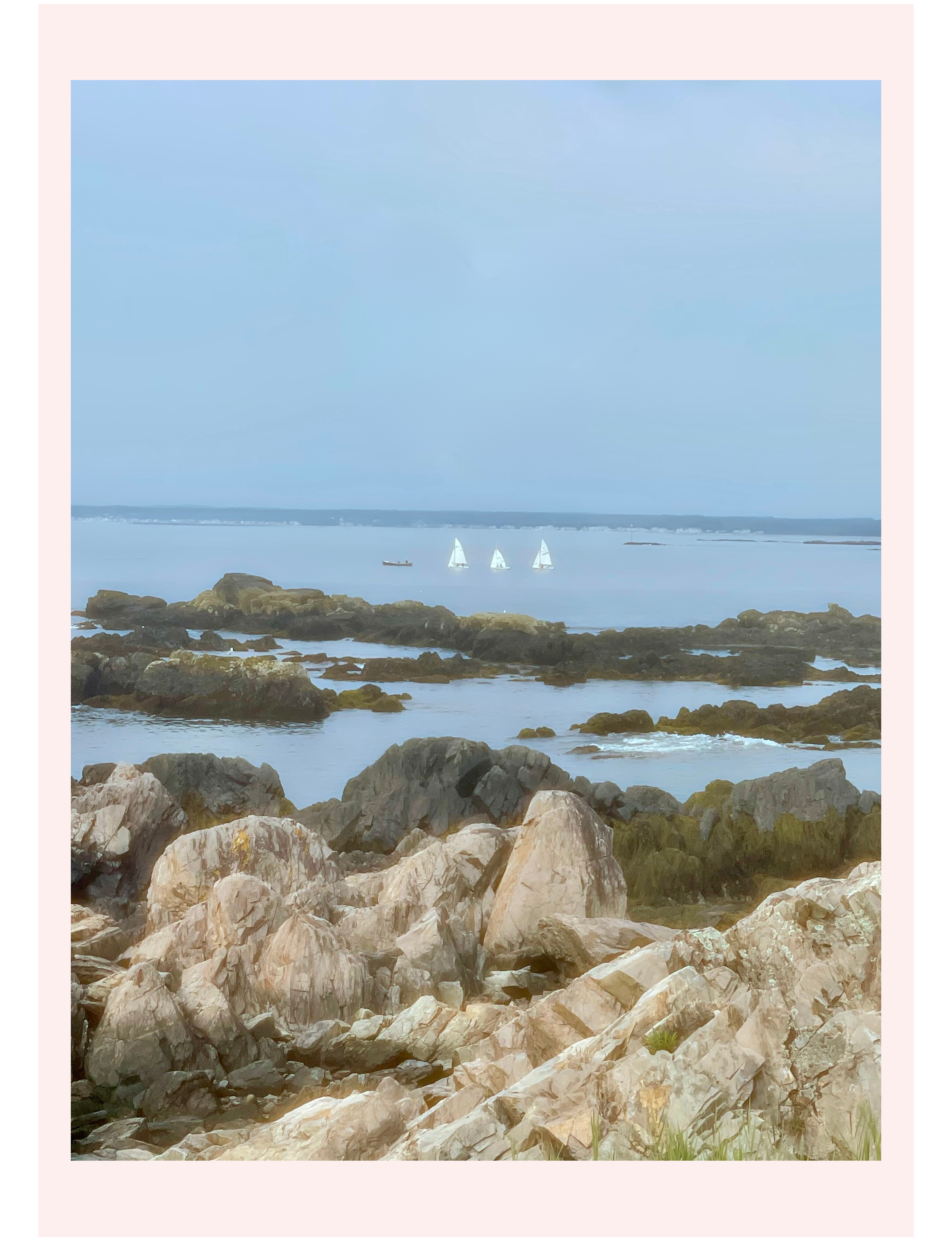scenic coastal view of Maine with white sailboats