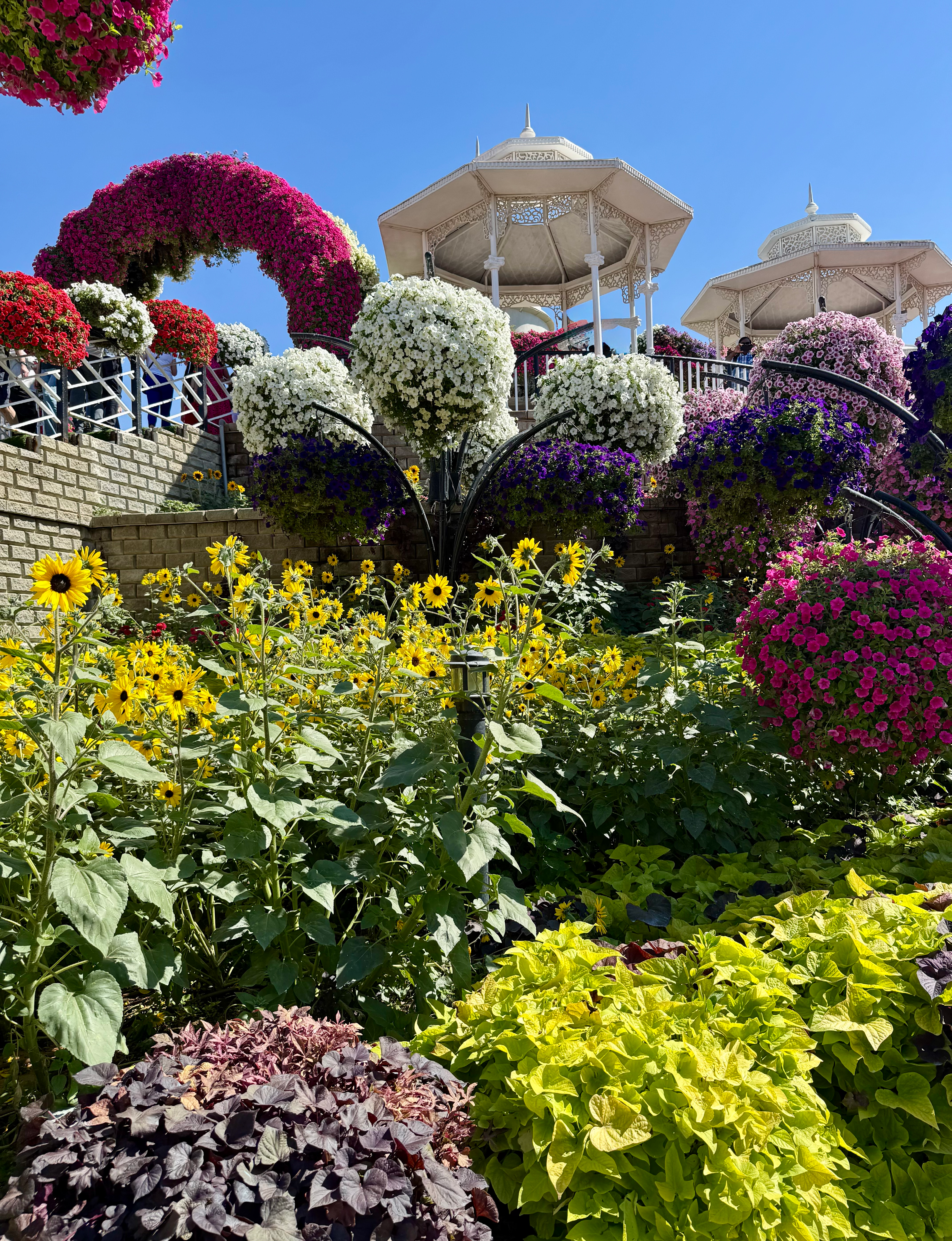 flowers at Dubai Miracle Garden