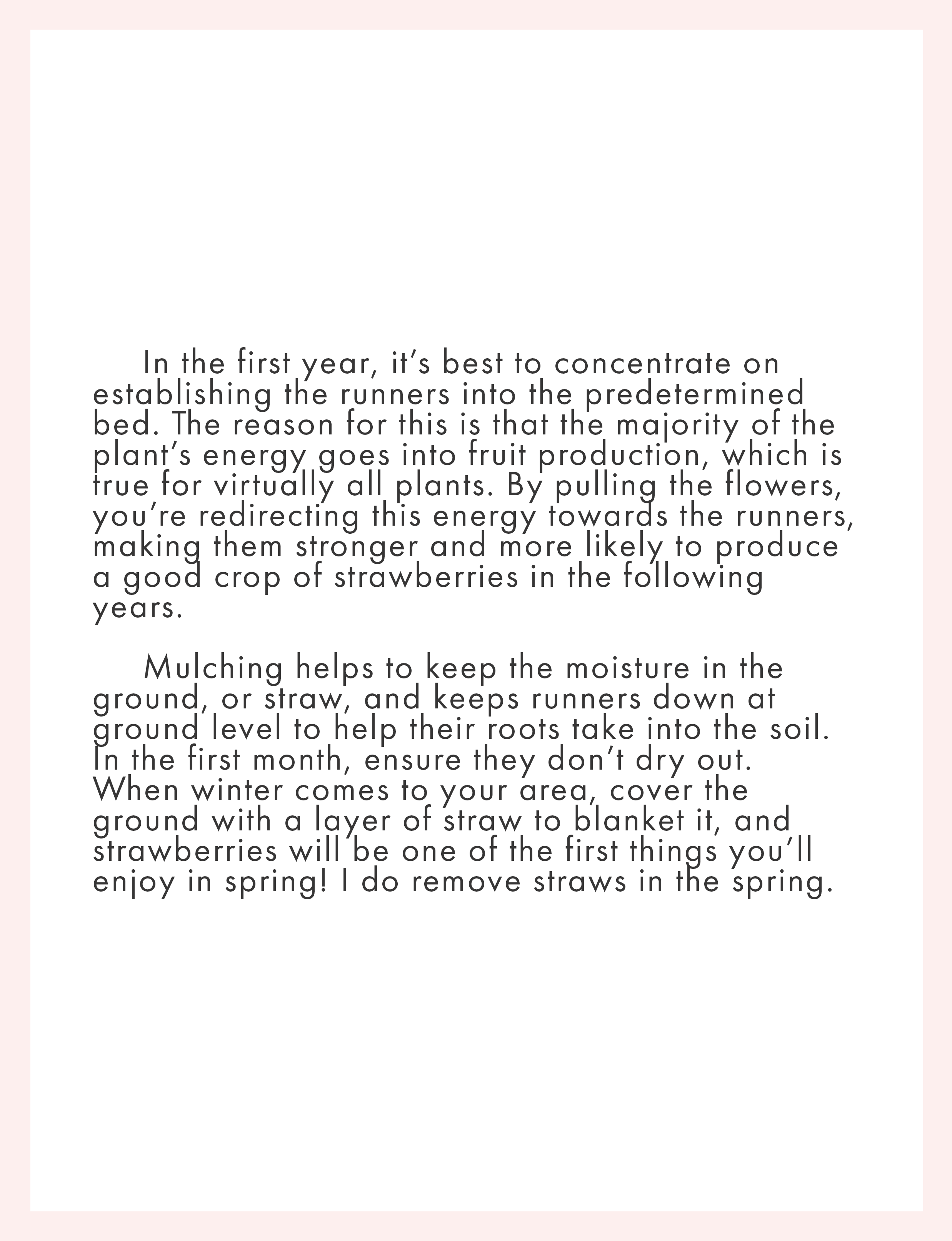 gardening tips how to care for sugar snap peas and strawberries