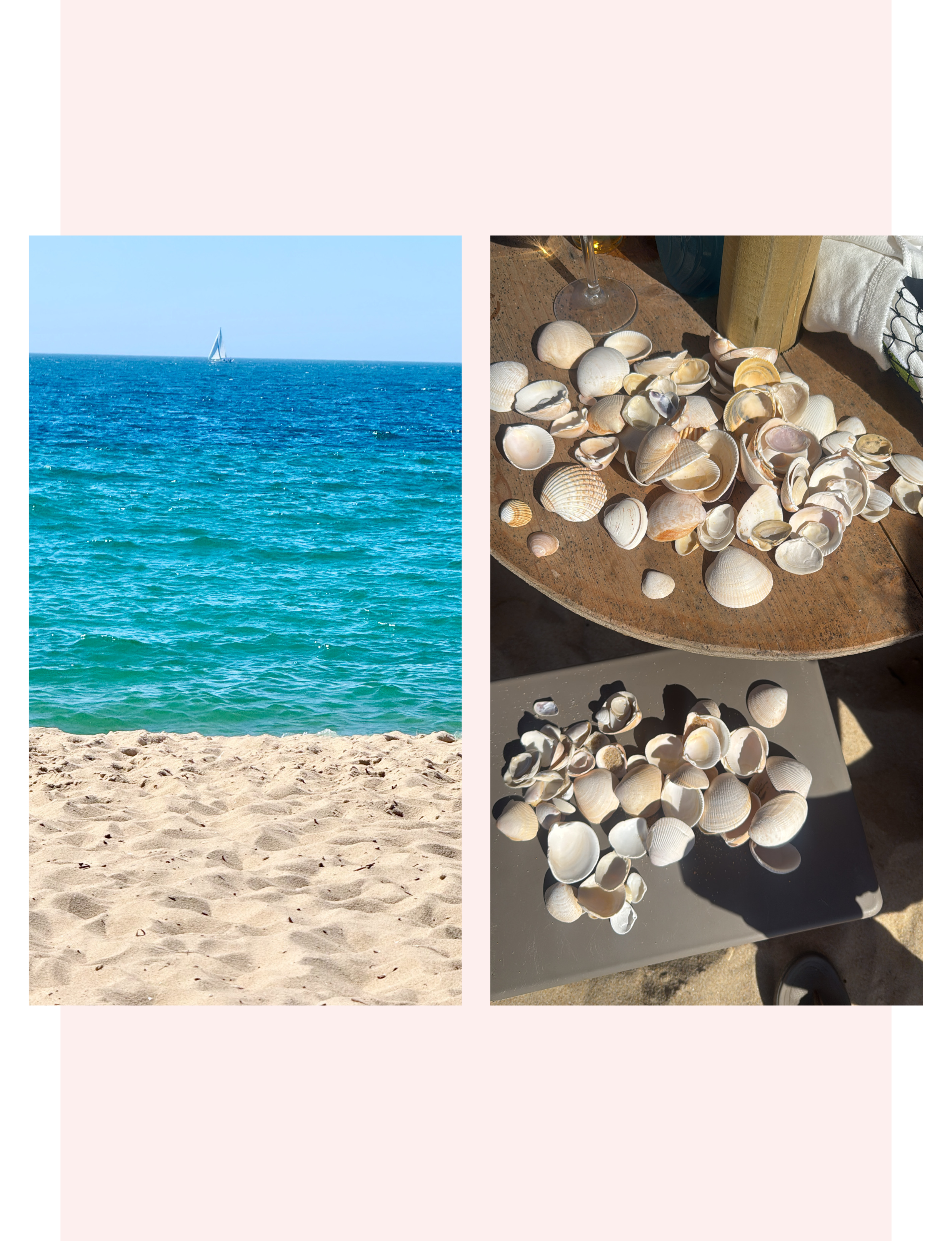 ocean and seashells at Comporta Portugal