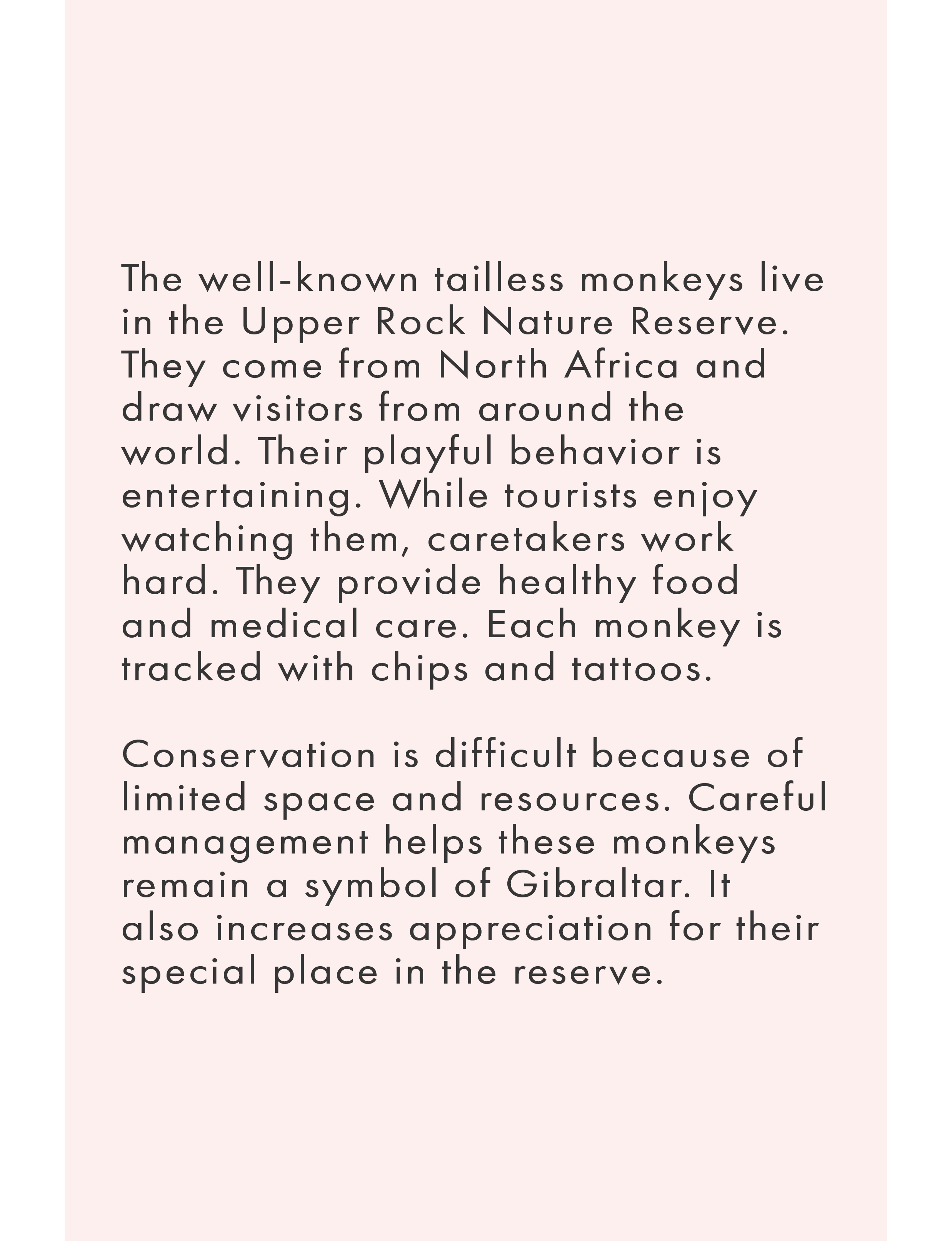 About the Upper Rock Nature Reserve and Barbary Macaques
