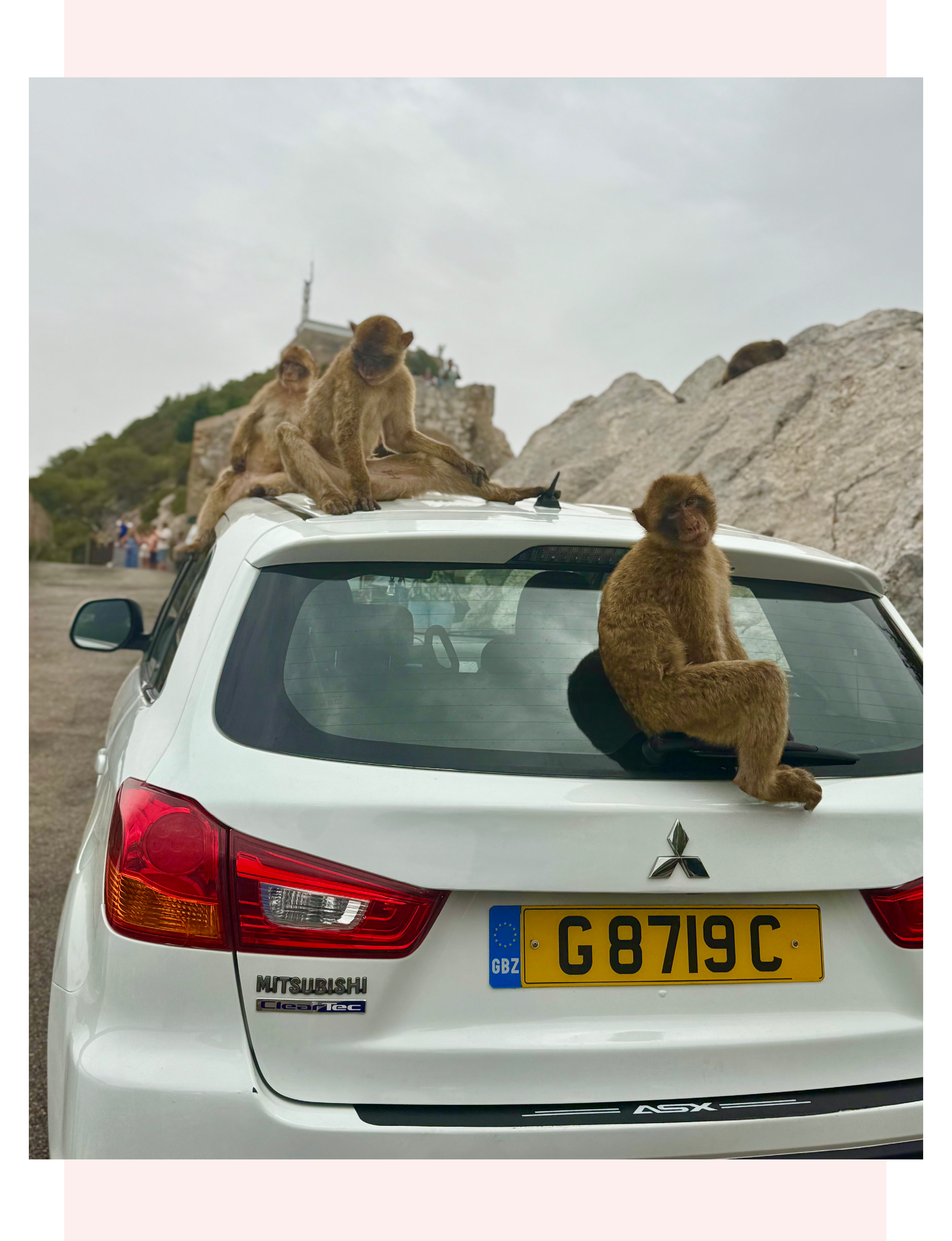 Barbary Macaques sitting on a car in Gibraltar